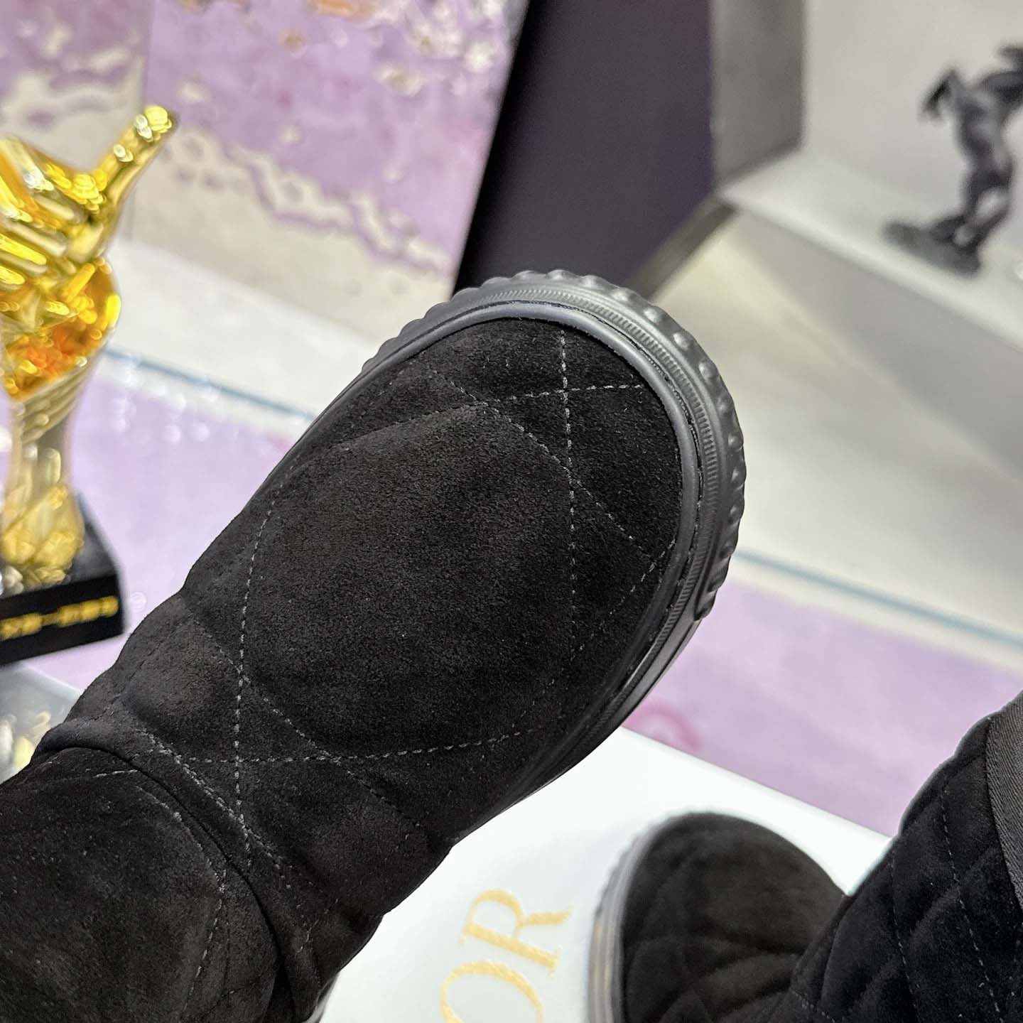 Dior Frost Ankle Boot  - DesignerGu