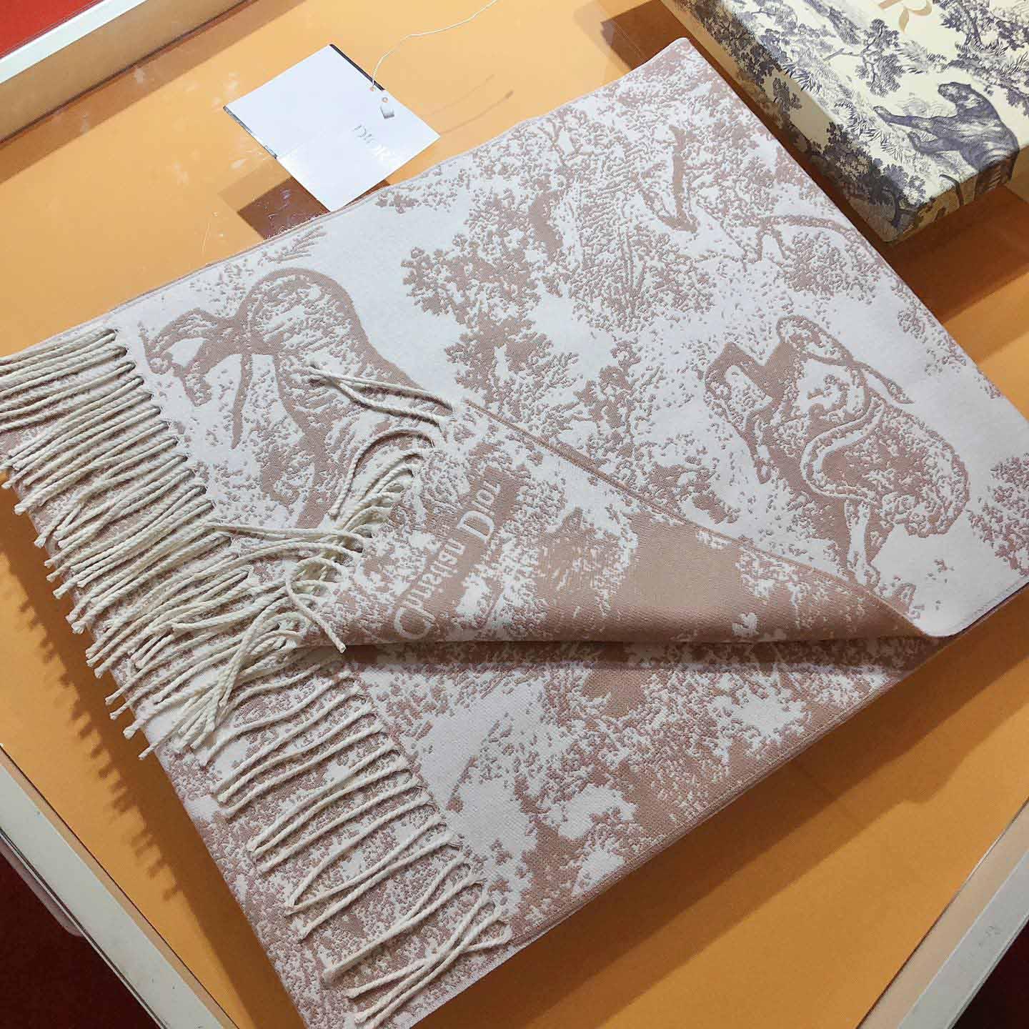 Dior Toile de Jouy Sauvage Scarf - DesignerGu