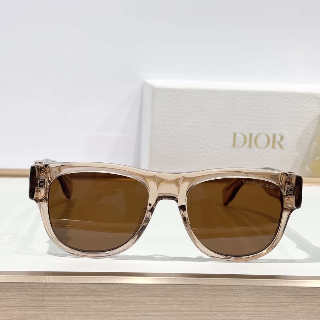 Dior DiorOblique S4I - DesignerGu