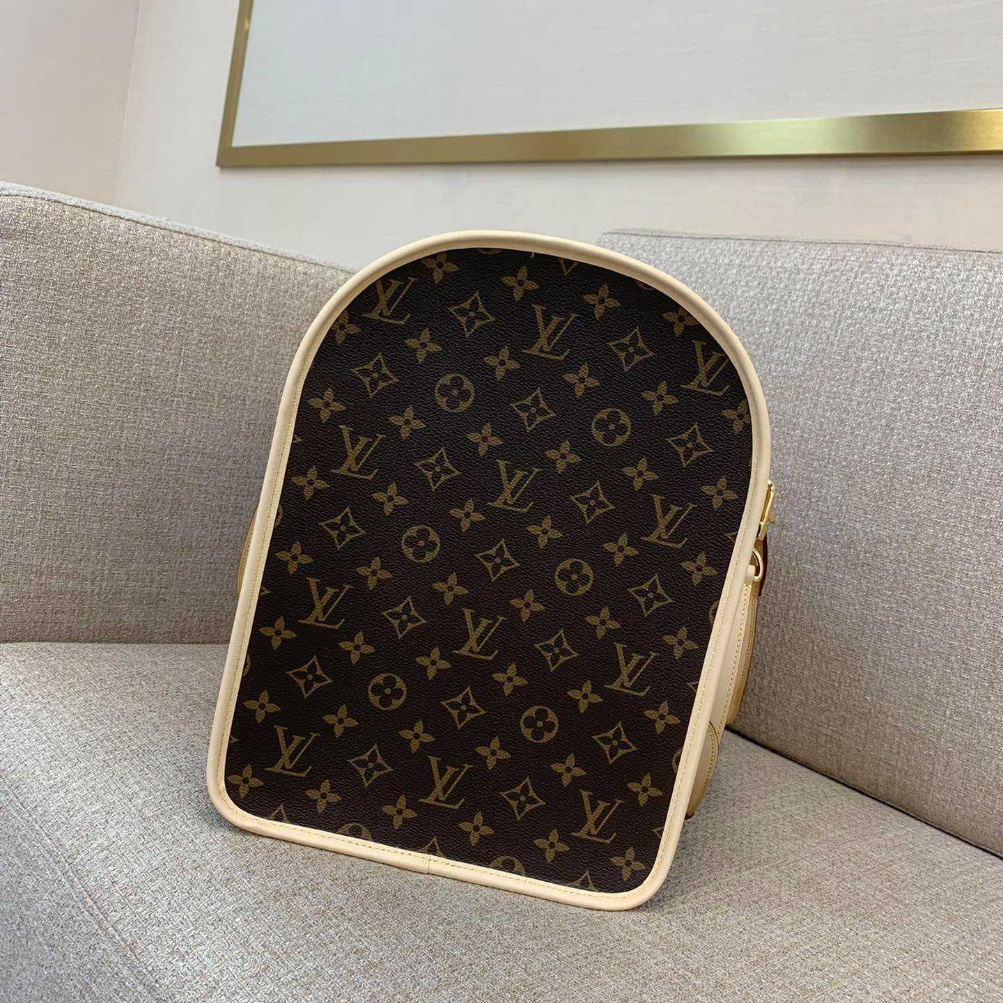 Louis Vuitton Dog Bag M45662 - DesignerGu