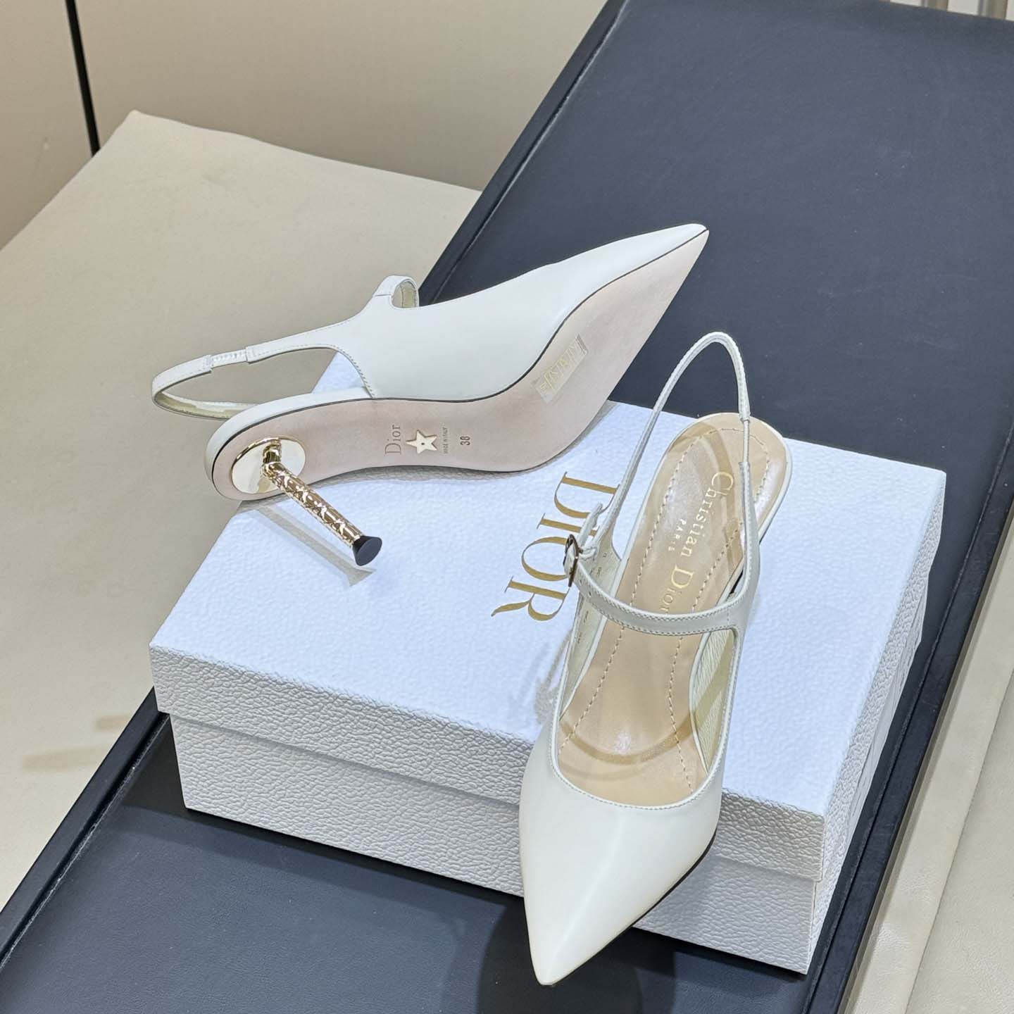 Dior Icon Slingback Pump  - DesignerGu