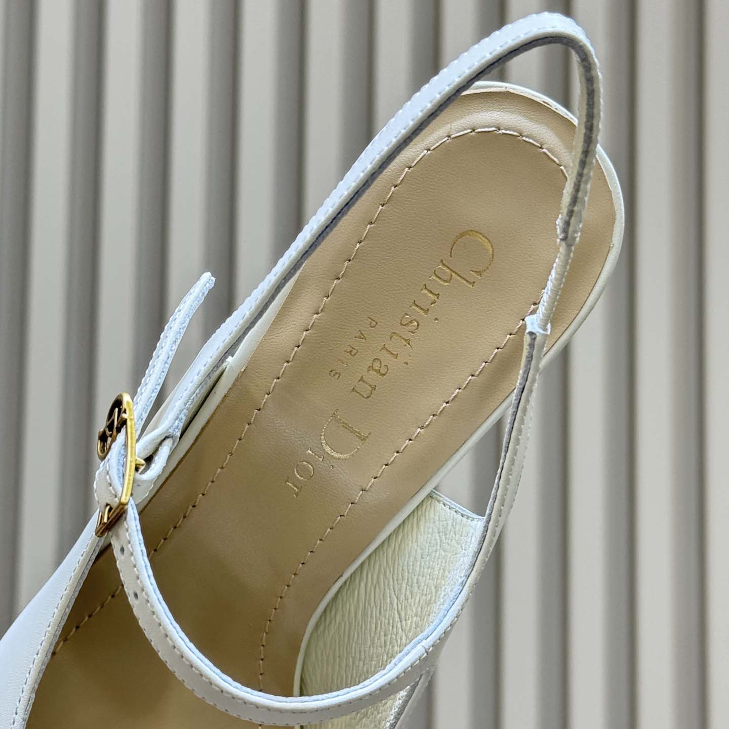 Dior Icon Slingback Pump  - DesignerGu