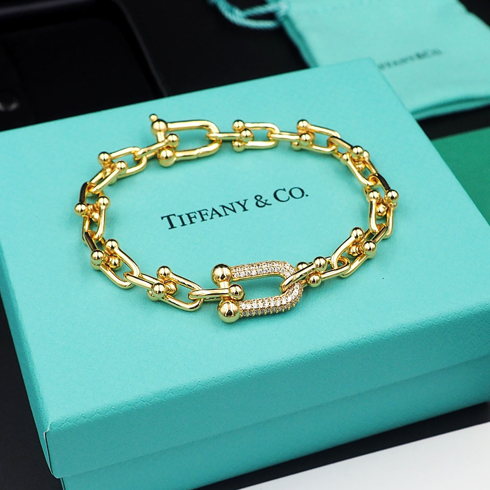 Tiffany Medium Link Bracelet  - DesignerGu