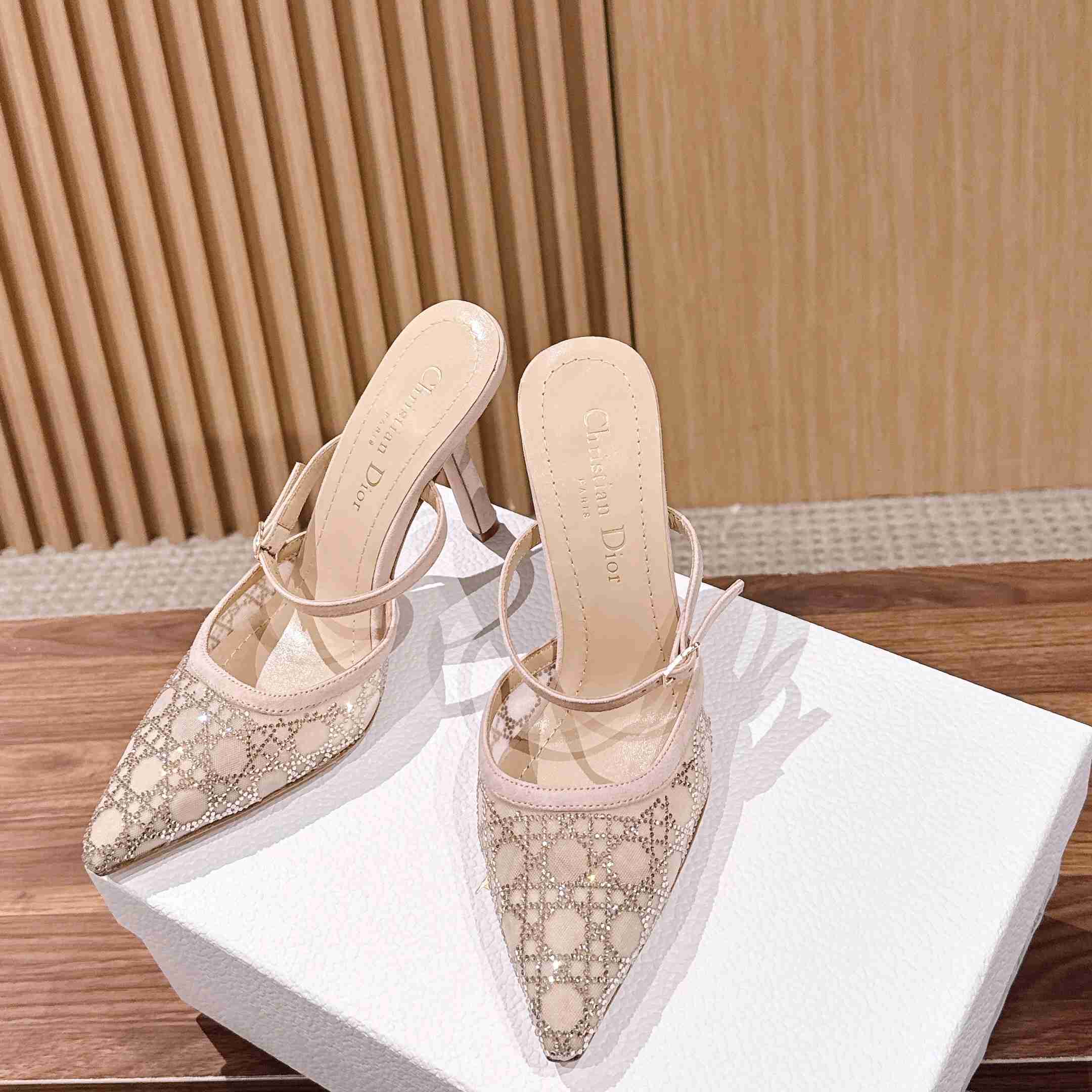 Dior Capture Heeled Mule - DesignerGu