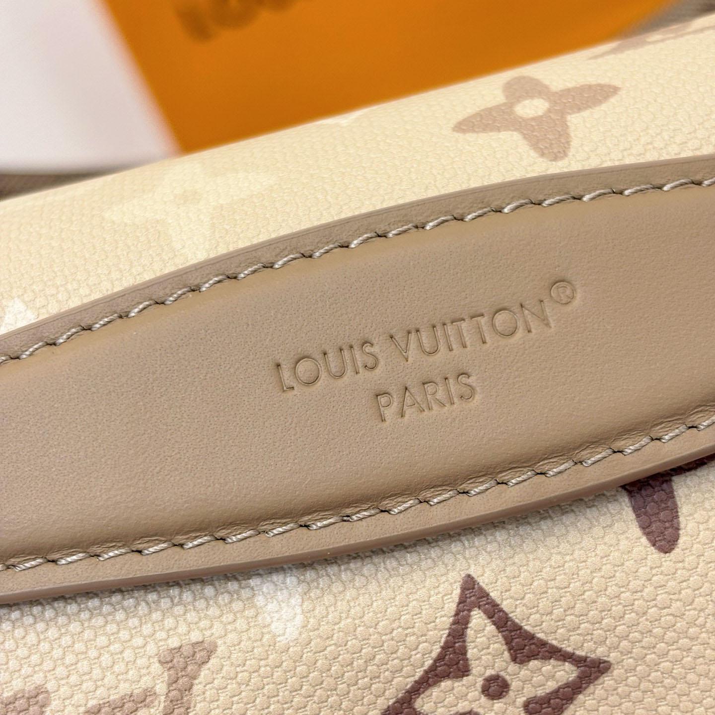 Louis Vuitton Rush Bumbag M29274 - DesignerGu