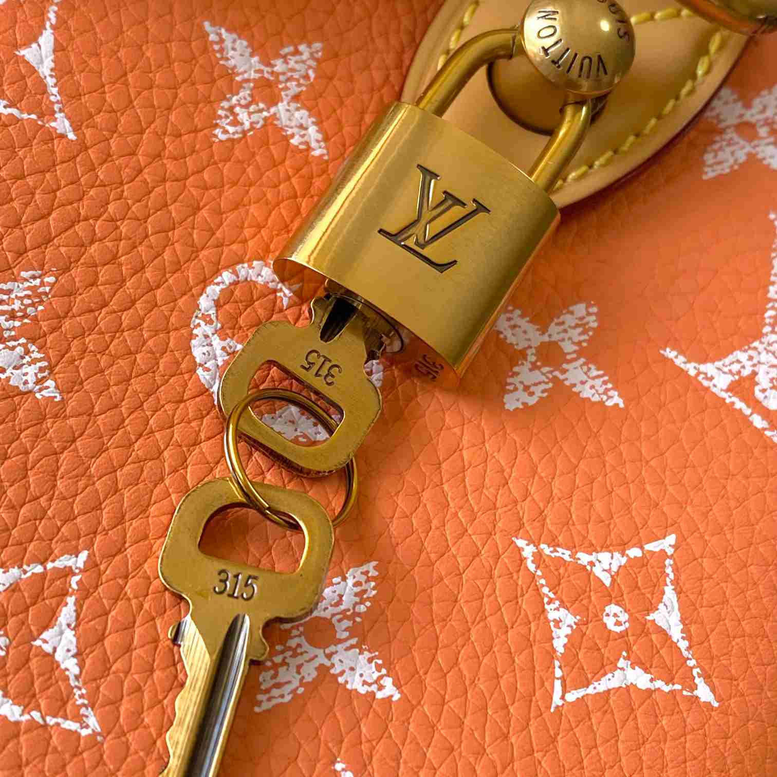 Louis Vuitton Speedy P9 Bandoulière 25 M13912 - DesignerGu