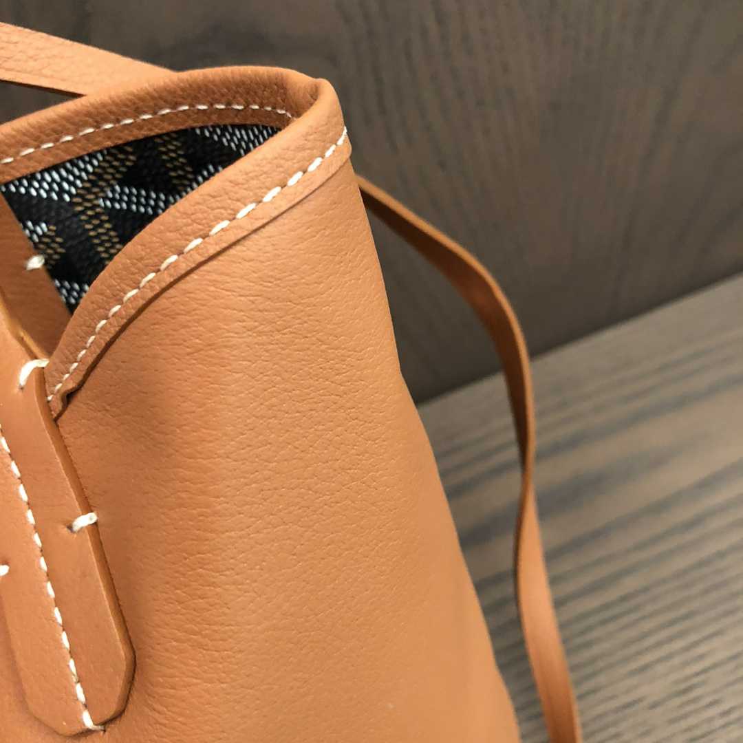 Goyard Anjou Mini Bag  - DesignerGu