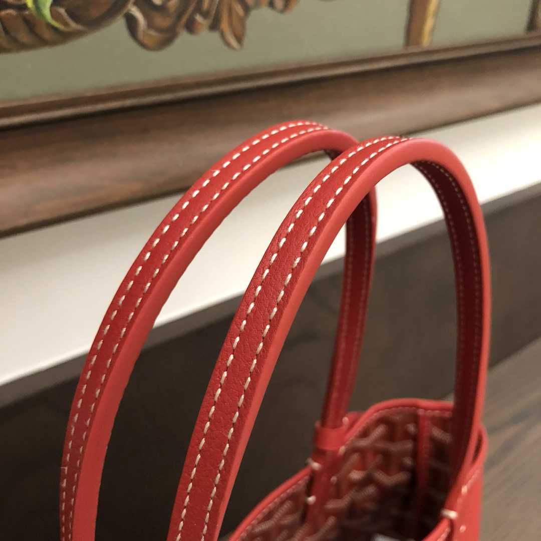 Goyard Anjou Mini Bag  - DesignerGu