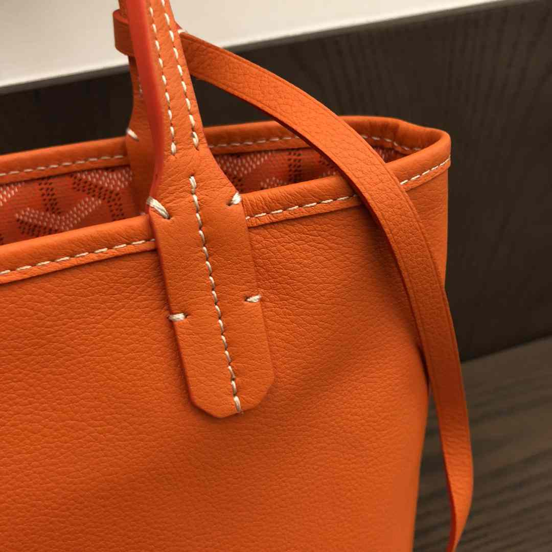 Goyard Anjou Mini Bag  - DesignerGu