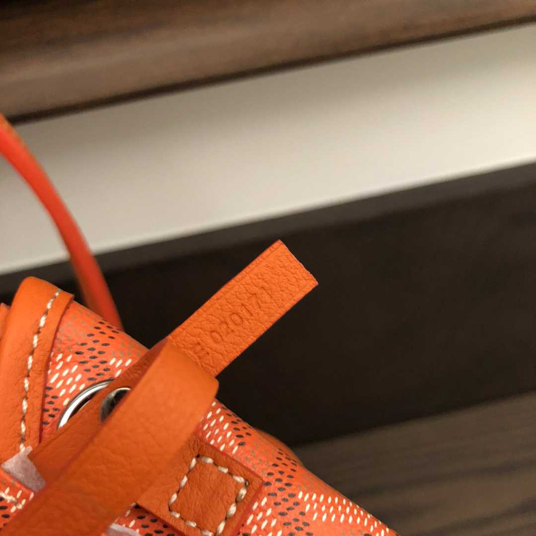 Goyard Anjou Mini Bag  - DesignerGu