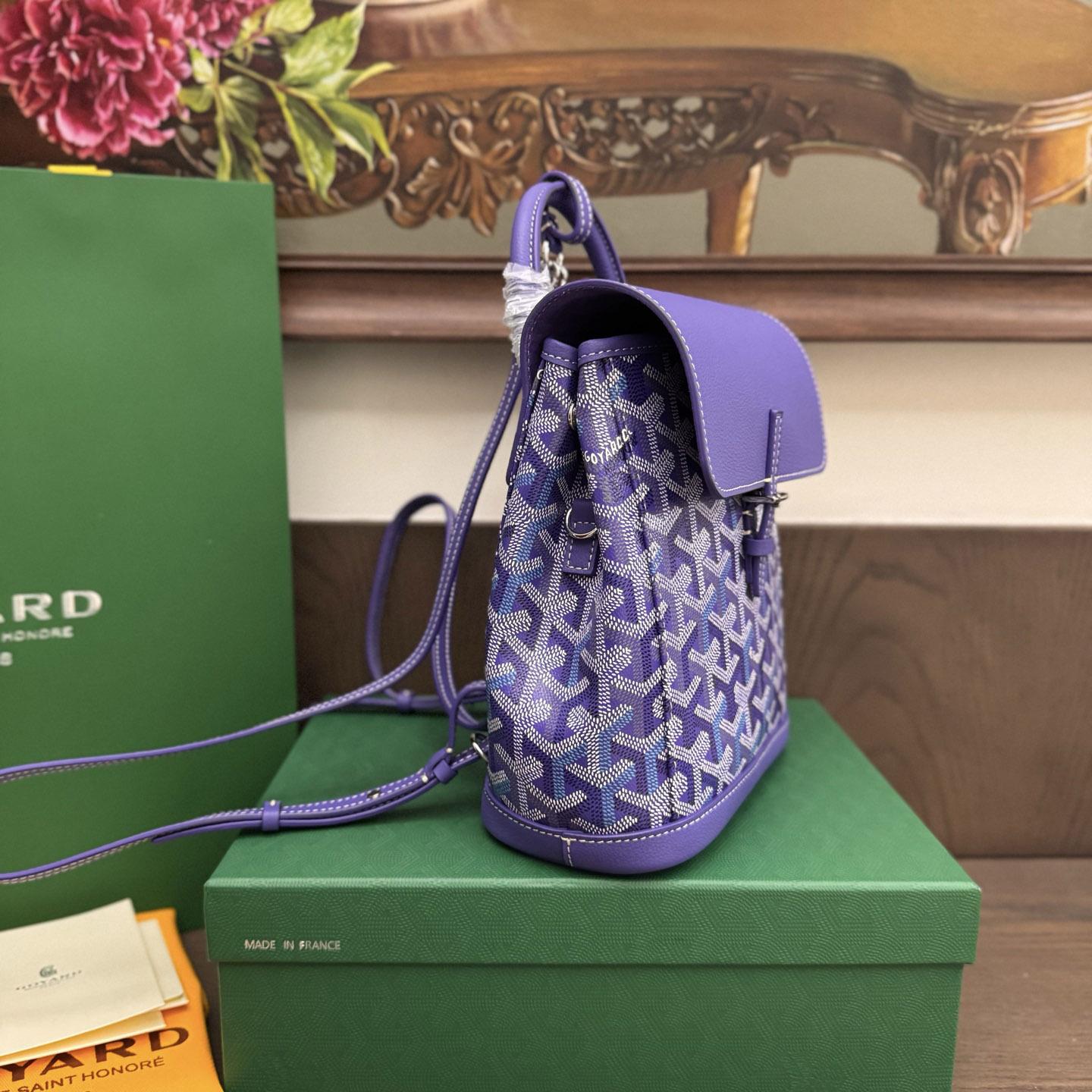 Goyard Alpin Mini Backpack Limited Edition - DesignerGu