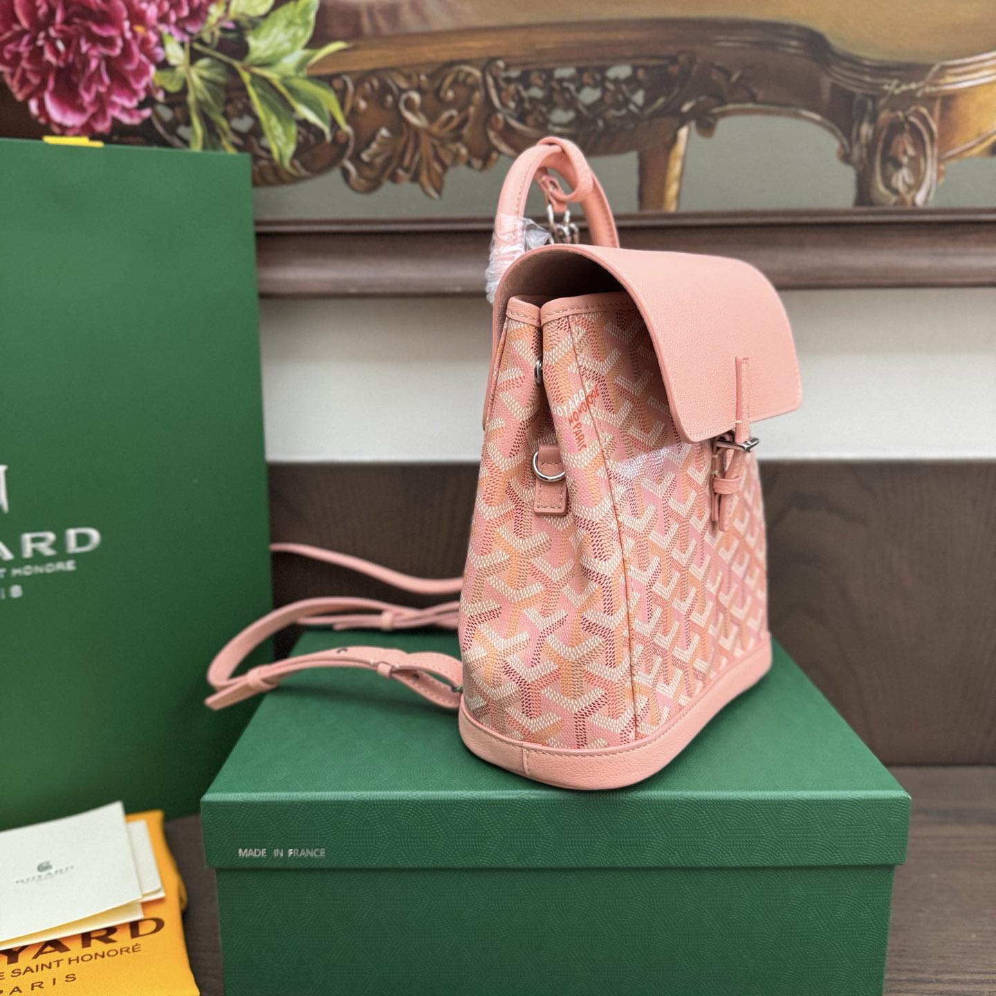 Goyard Alpin Mini Backpack Limited Edition - DesignerGu