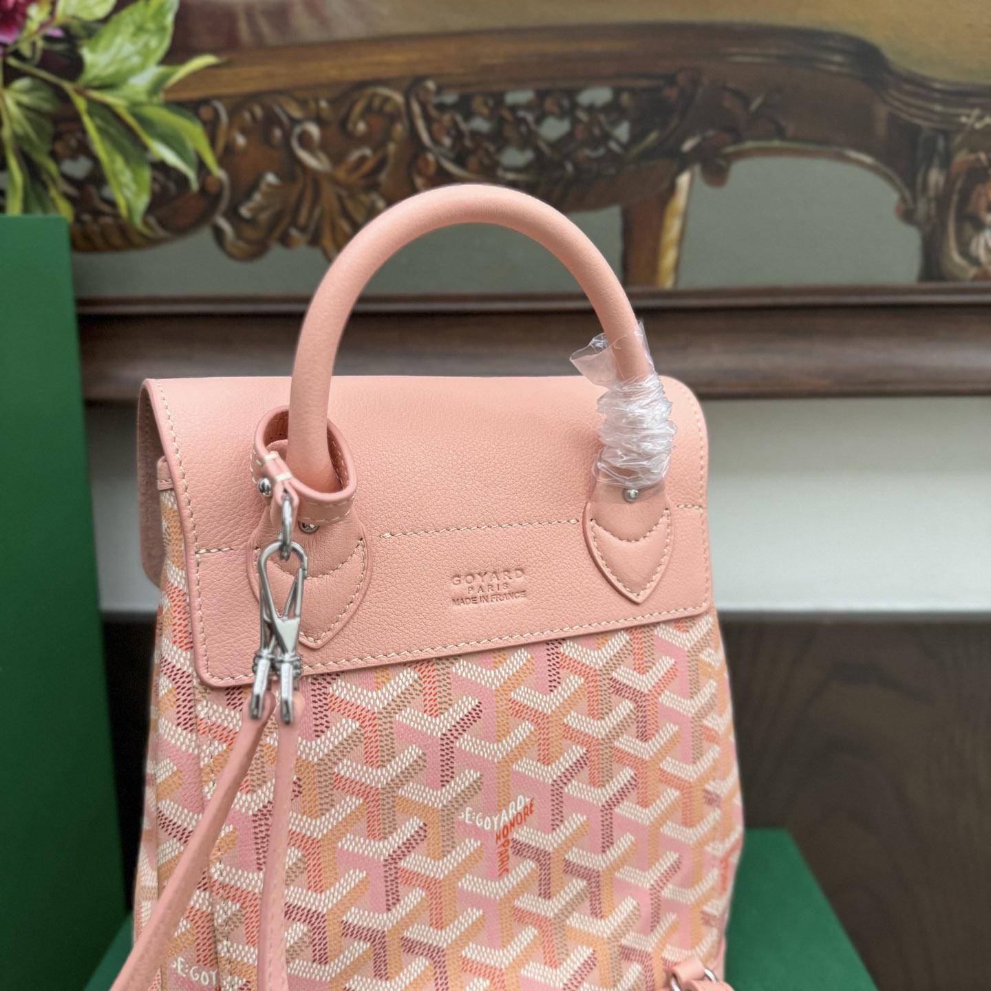 Goyard Alpin Mini Backpack Limited Edition - DesignerGu