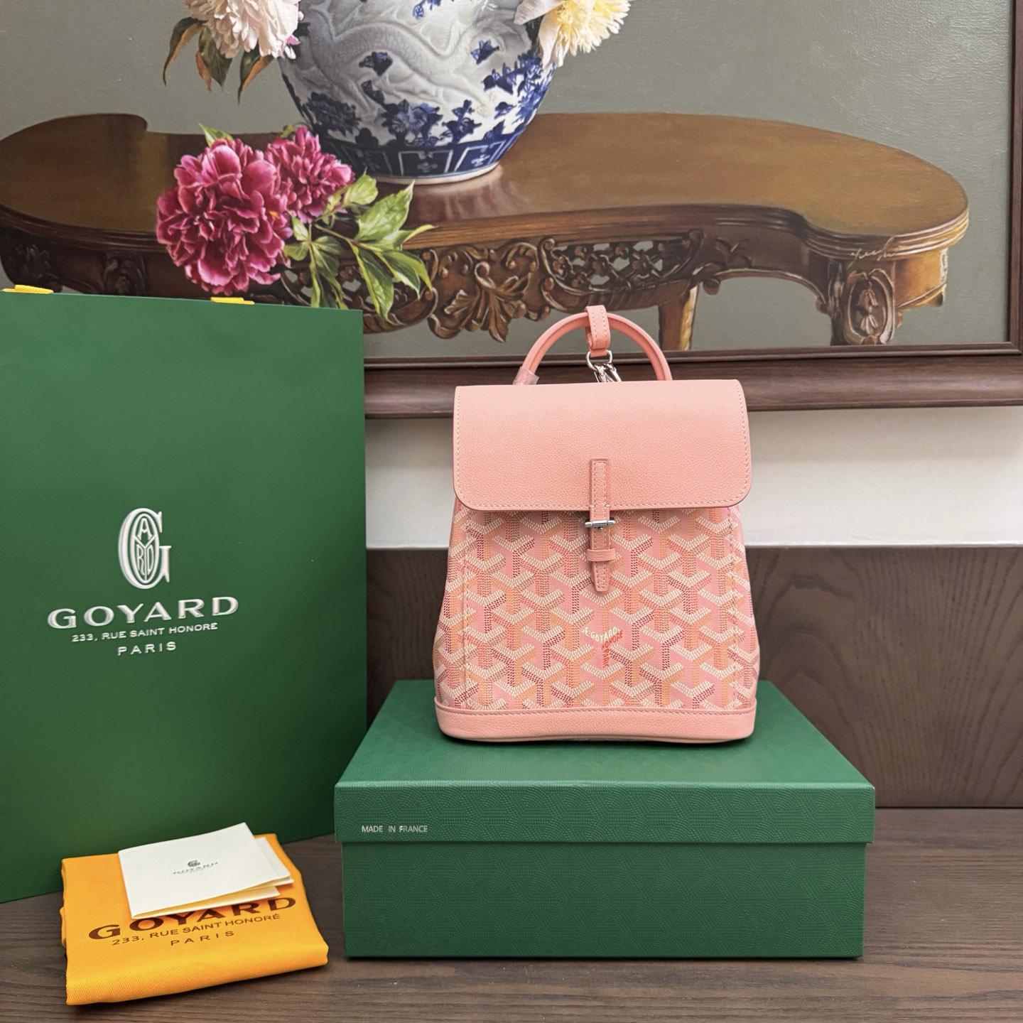 Goyard Alpin Mini Backpack Limited Edition - DesignerGu