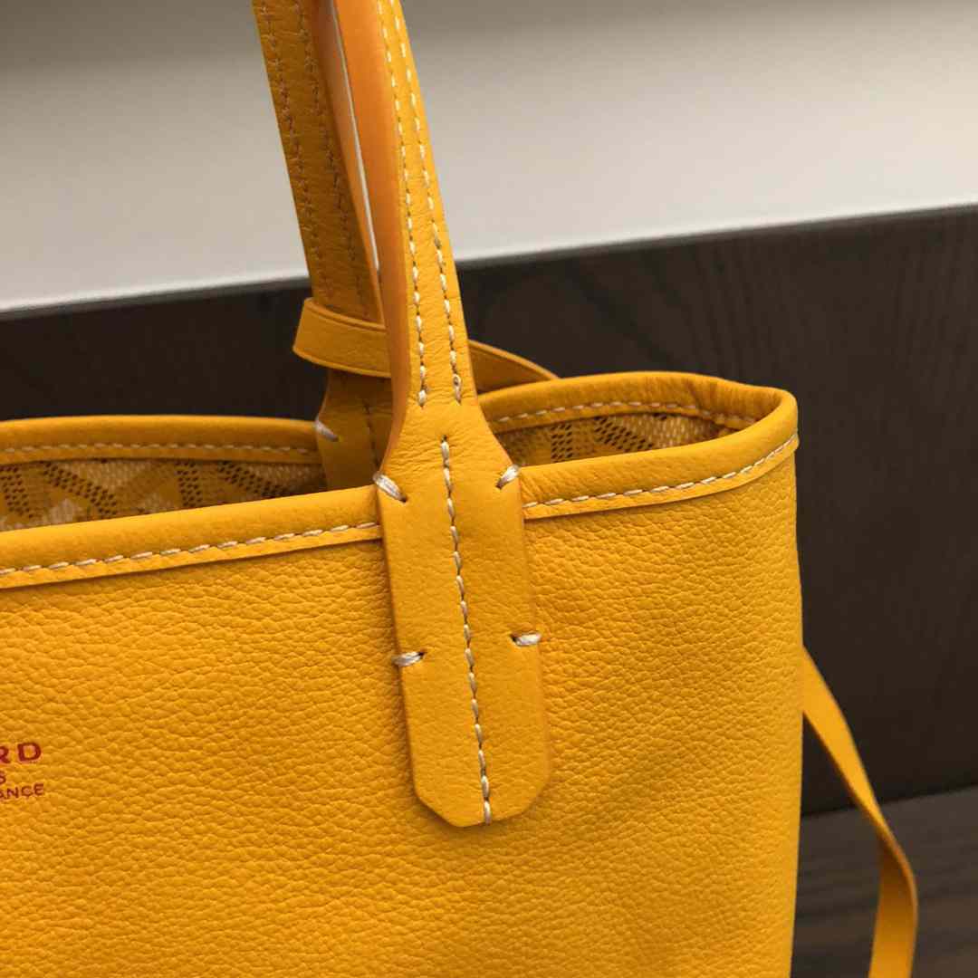 Goyard Anjou Mini Bag  - DesignerGu