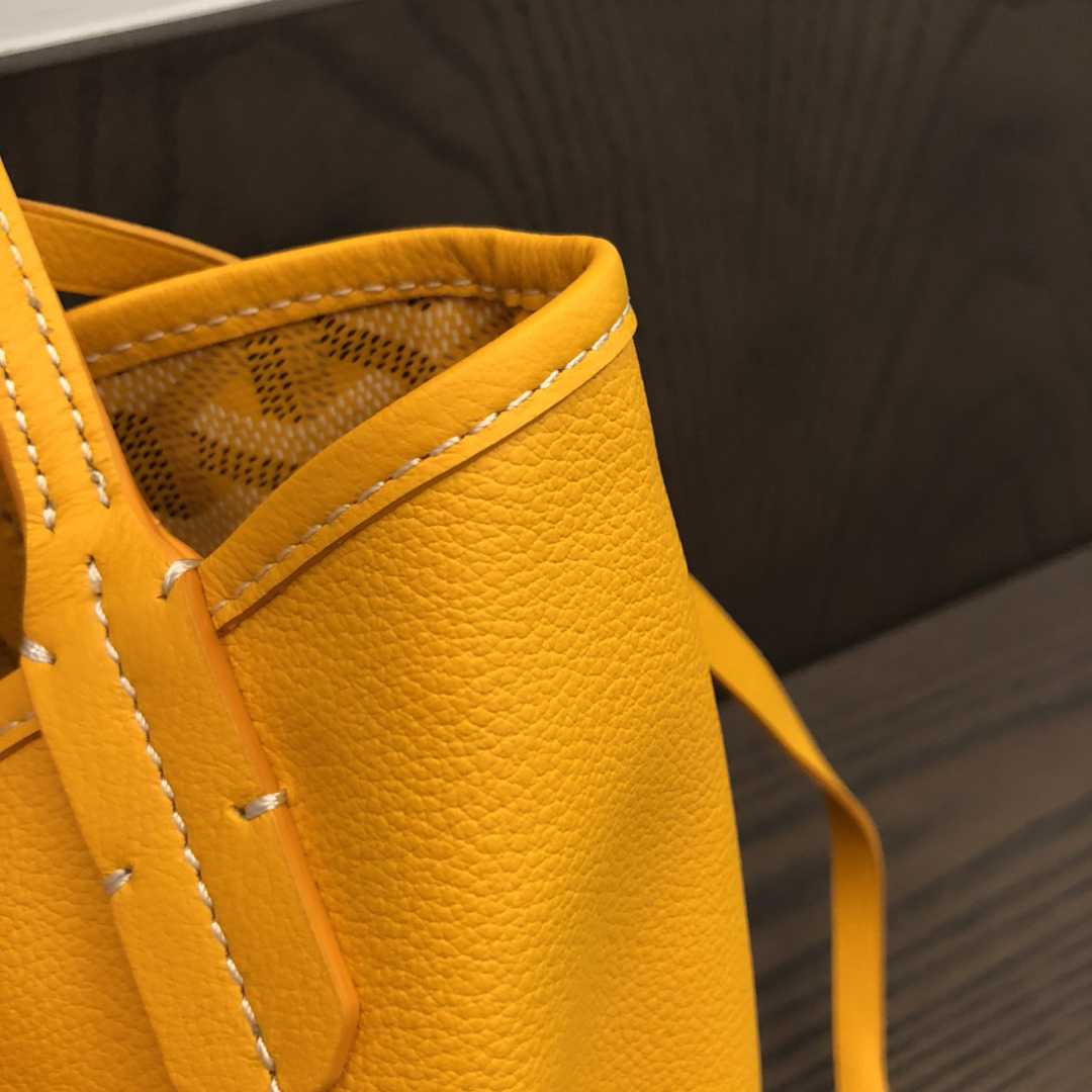 Goyard Anjou Mini Bag  - DesignerGu