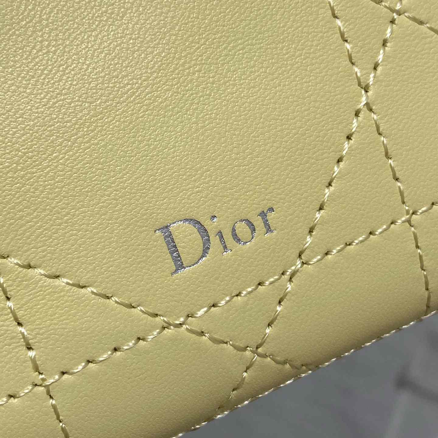 Dior Trianon Soft Vanity Bag - DesignerGu