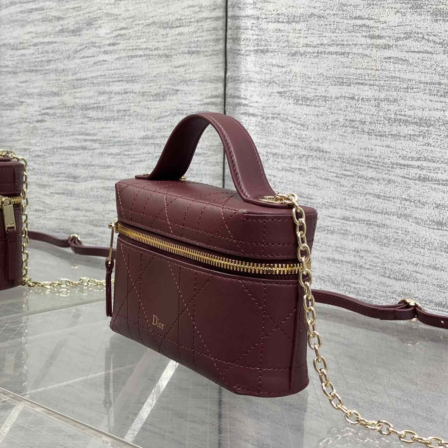 Dior Trianon Soft Vanity Bag - DesignerGu