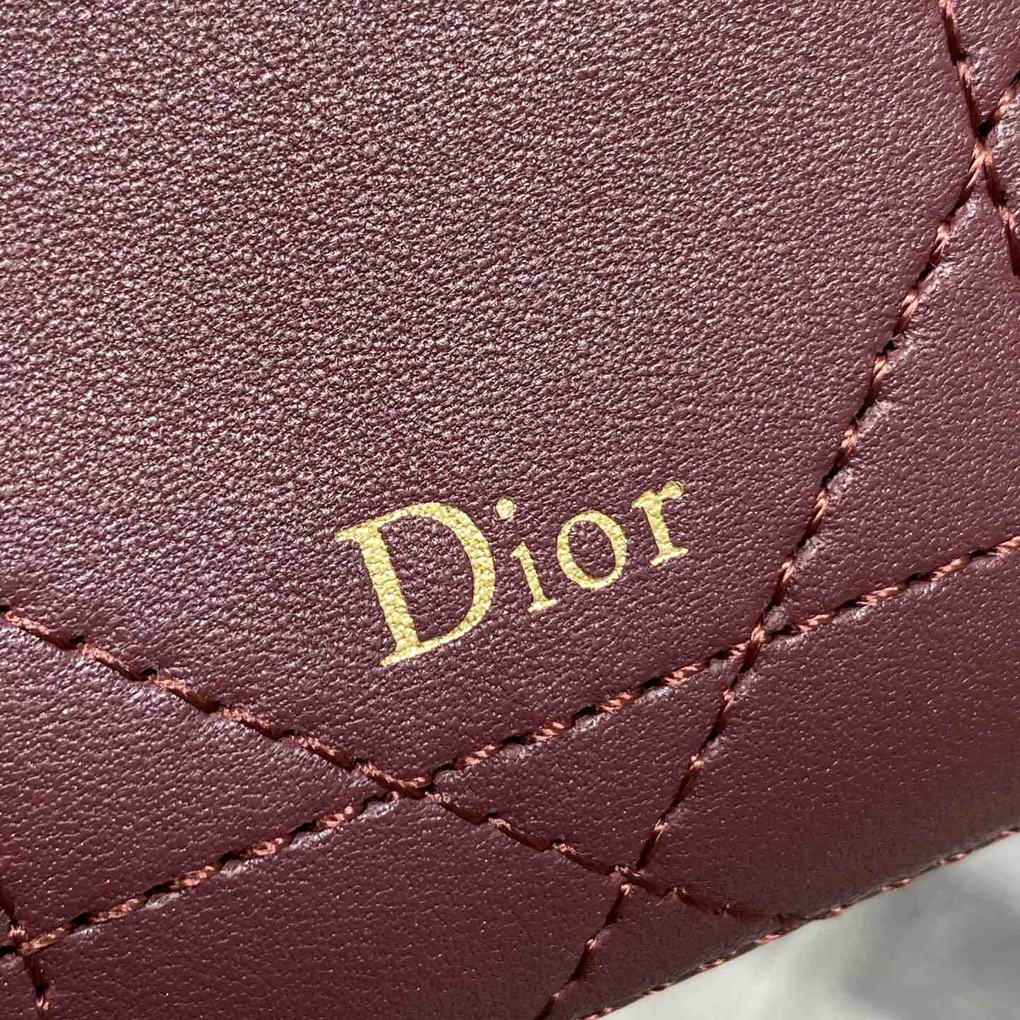 Dior Trianon Soft Vanity Bag - DesignerGu
