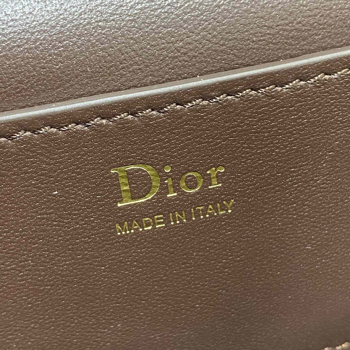 Dior Trianon Soft Vanity Bag - DesignerGu