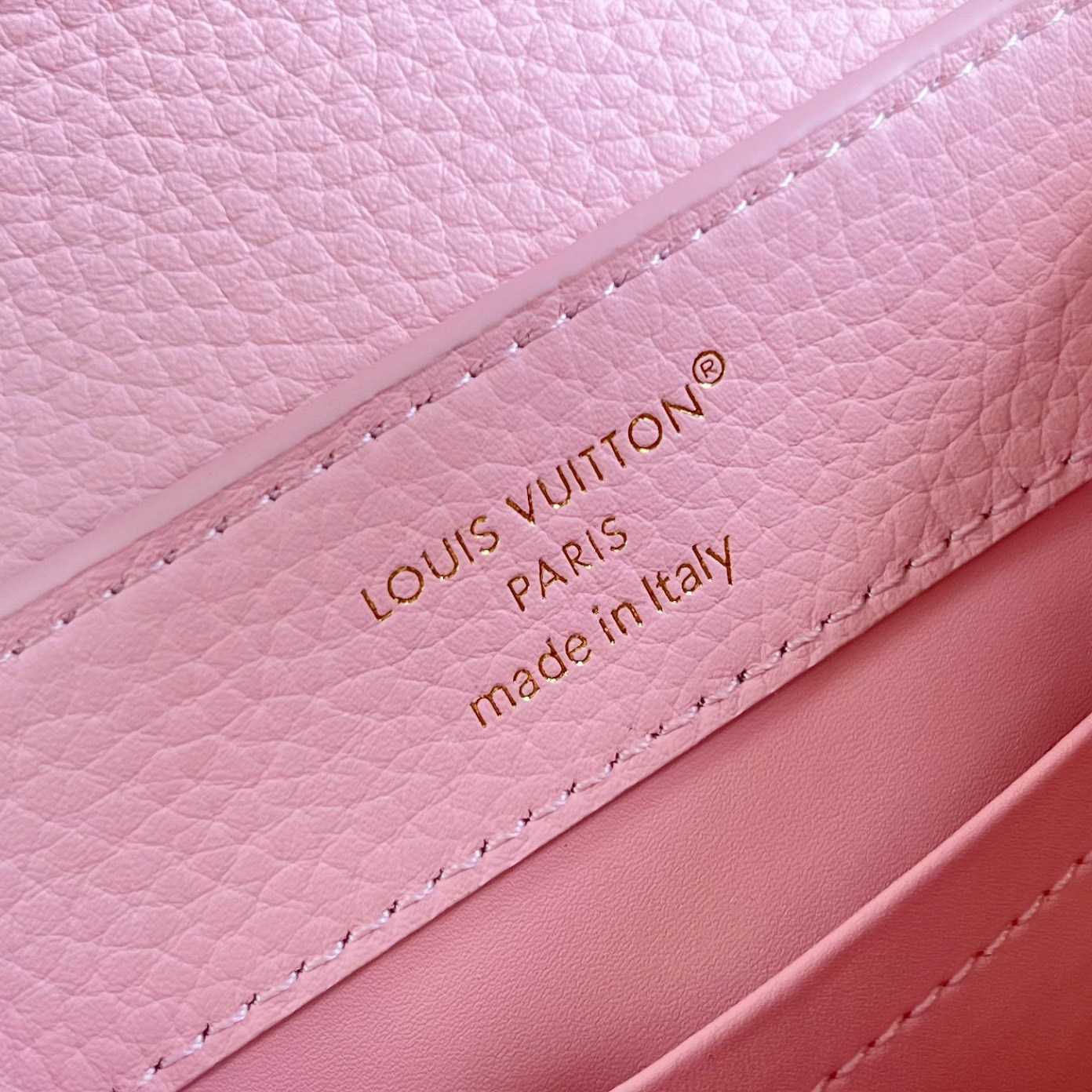 Louis Vuitton Capucines Mini M29500 - DesignerGu