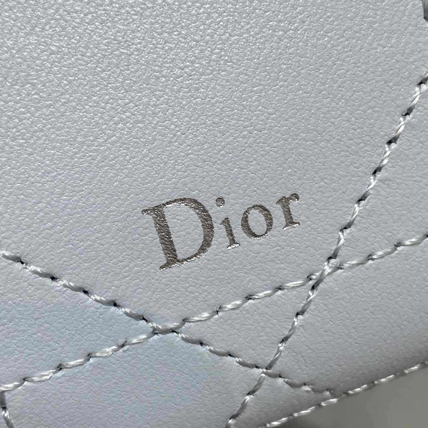 Dior Trianon Soft Vanity Bag - DesignerGu