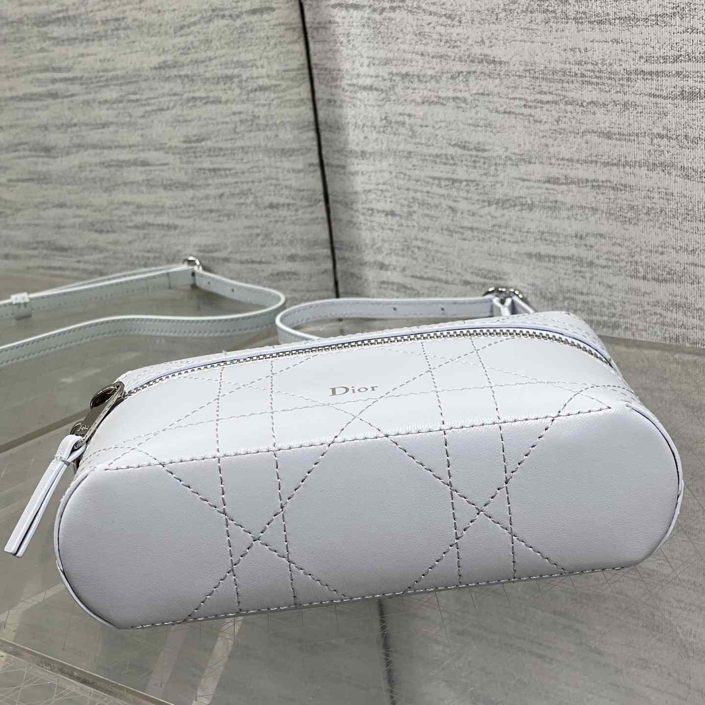 Dior Trianon Soft Vanity Bag - DesignerGu