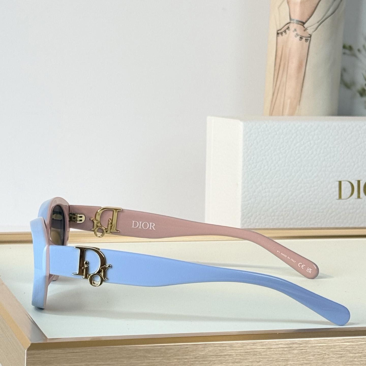Dior Oblique R1I Sunglasses - DesignerGu