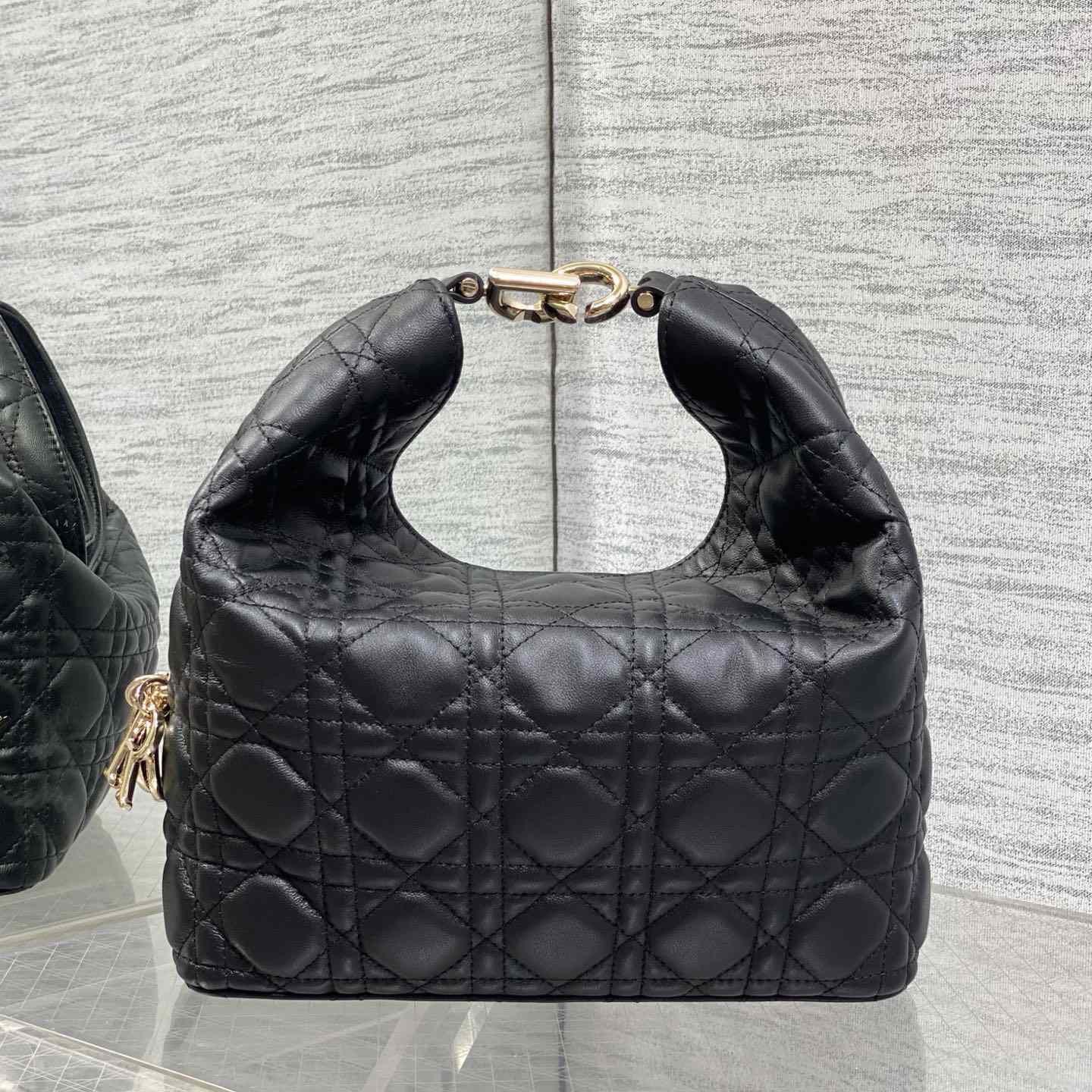 Dior Small Dior Toujours Hobo Bag - DesignerGu