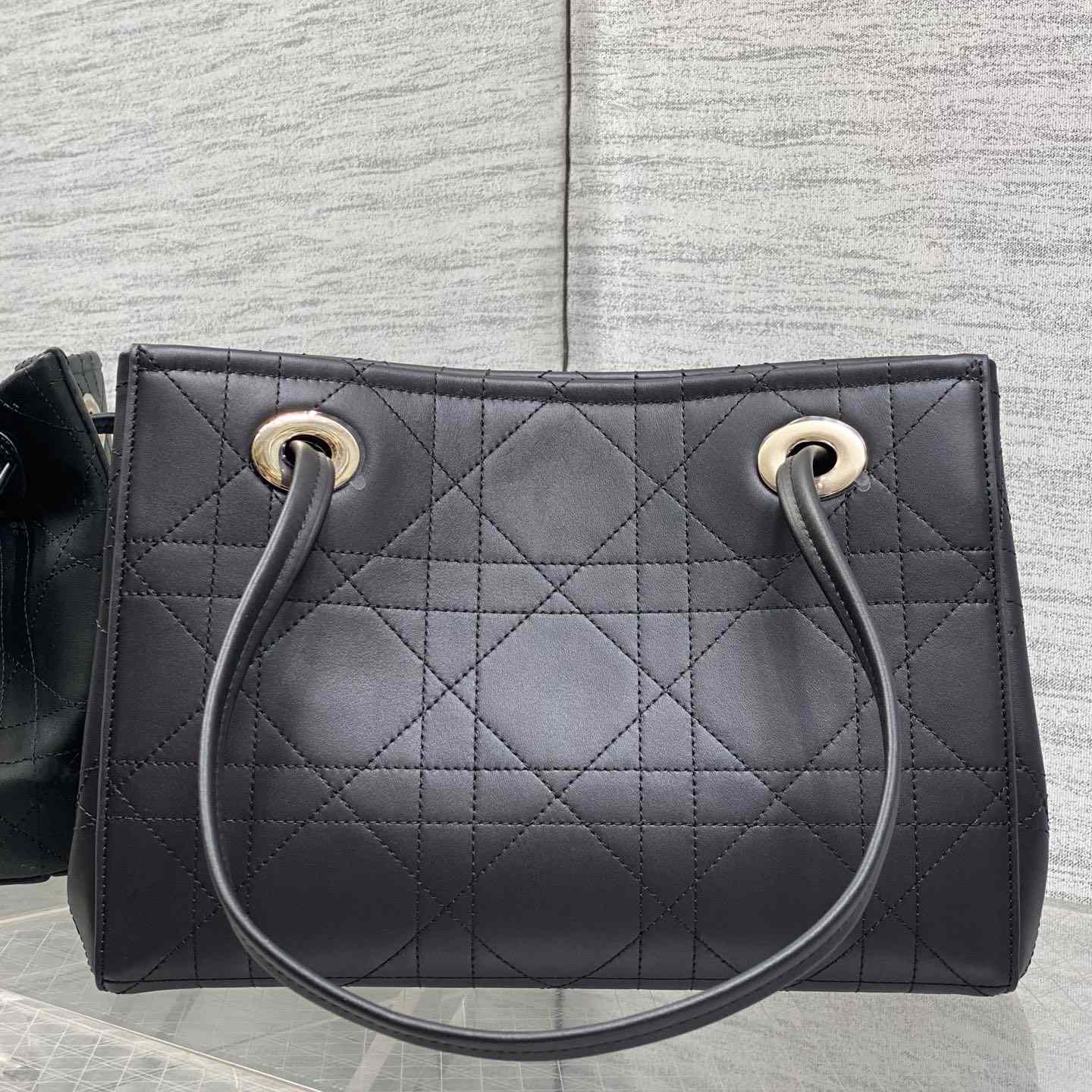 Dior Small Dior Promenade Shopping Bag - DesignerGu