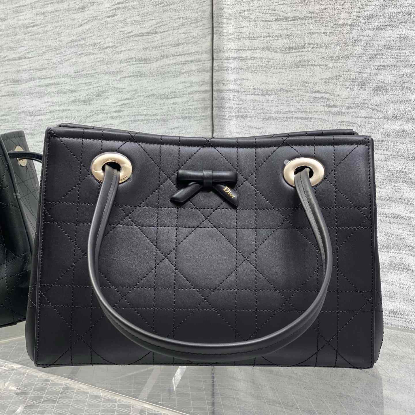 Dior Small Dior Promenade Shopping Bag - DesignerGu