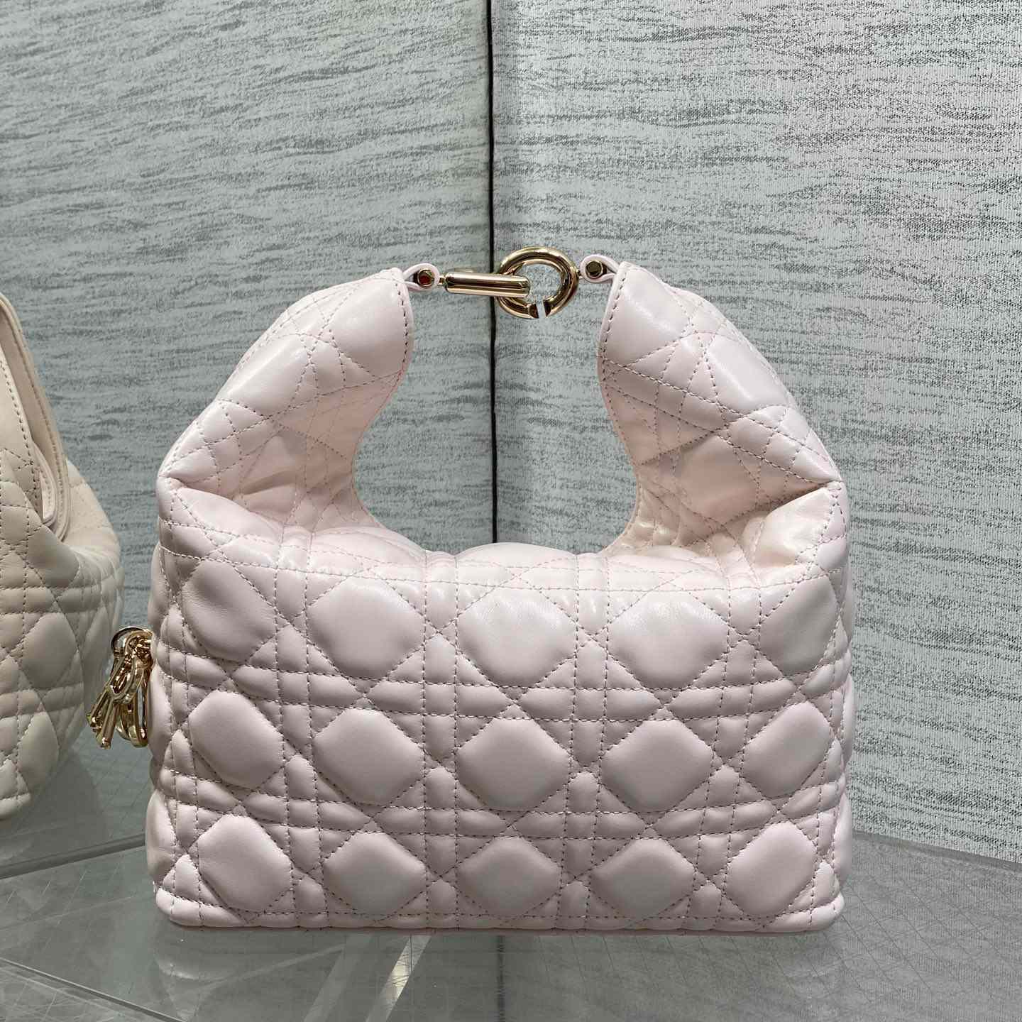 Dior Small Dior Toujours Hobo Bag - DesignerGu