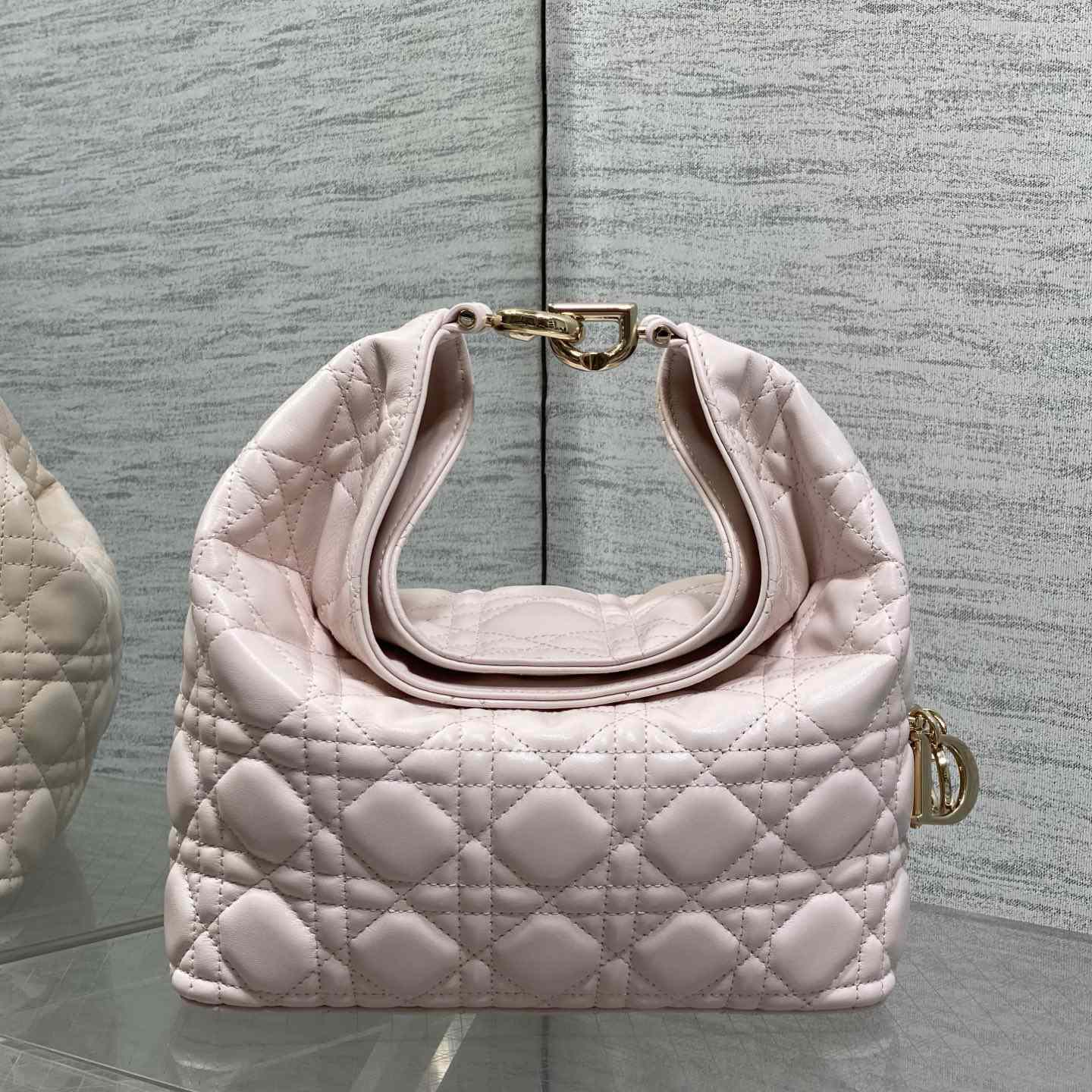Dior Small Dior Toujours Hobo Bag - DesignerGu
