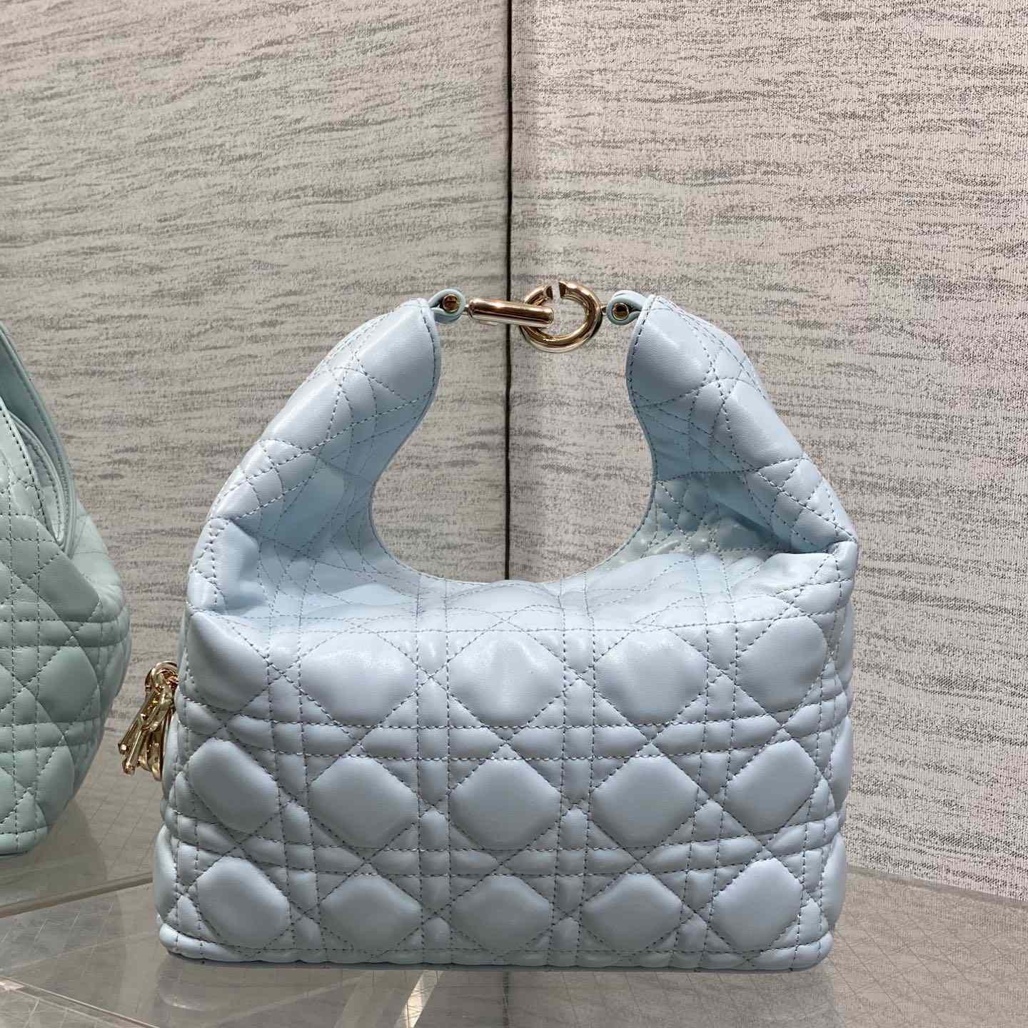 Dior Small Dior Toujours Hobo Bag - DesignerGu