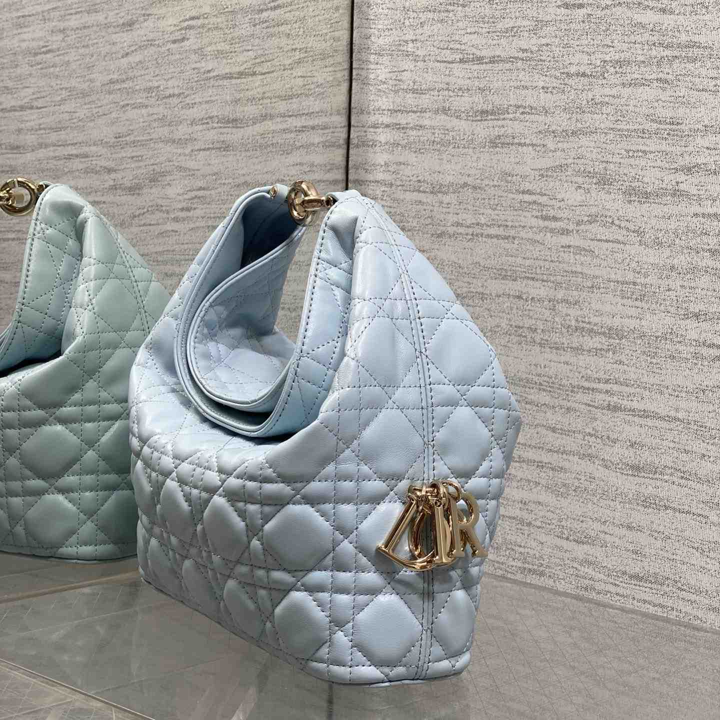 Dior Small Dior Toujours Hobo Bag - DesignerGu