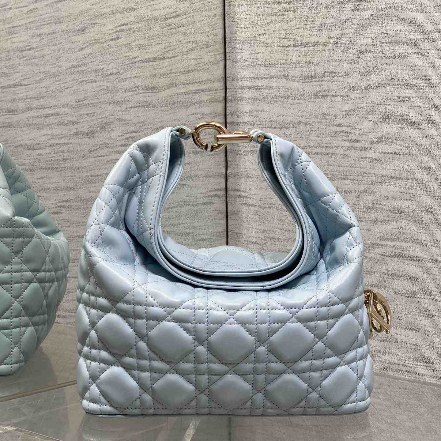 Dior Small Dior Toujours Hobo Bag - DesignerGu