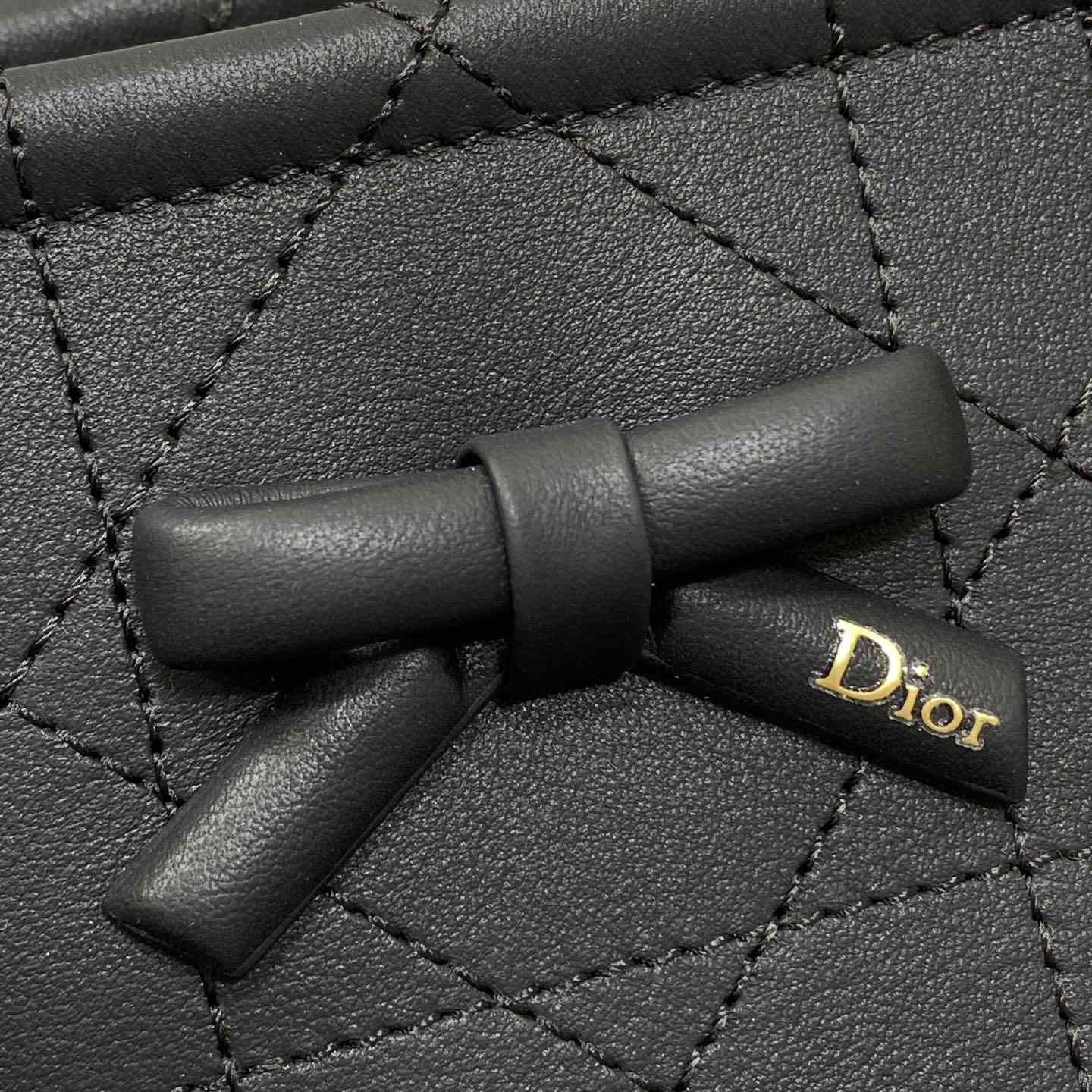 Dior Promenade East-West Shopping Bag - DesignerGu
