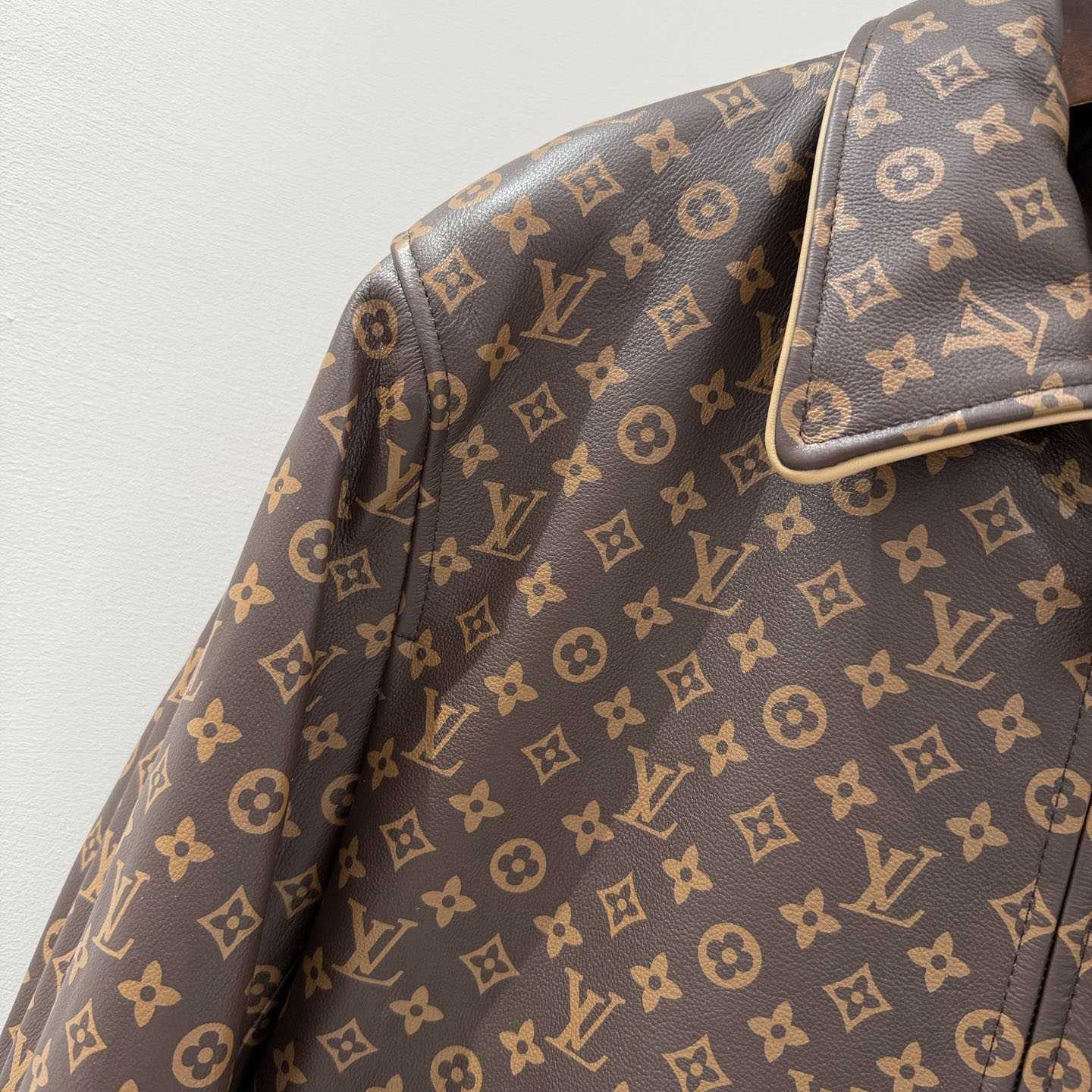 Louis Vuitton Monogram Padded Leather Blouson - DesignerGu