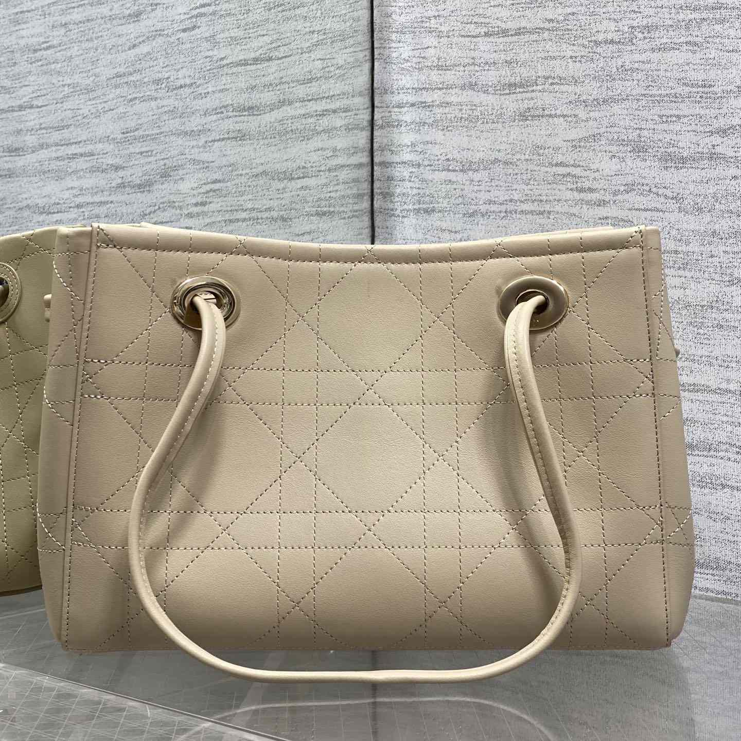 Dior Small Dior Promenade Shopping Bag - DesignerGu