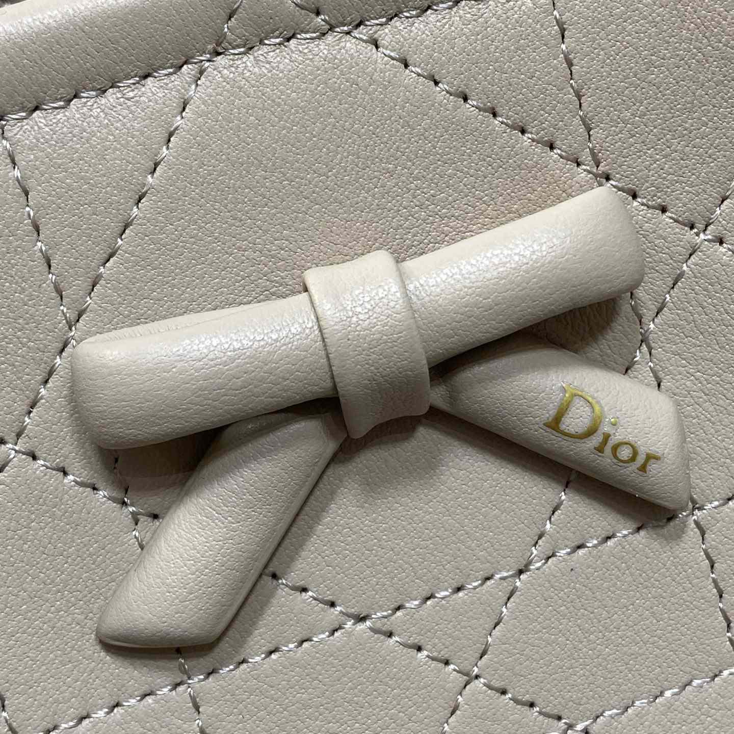 Dior Small Dior Promenade Shopping Bag - DesignerGu