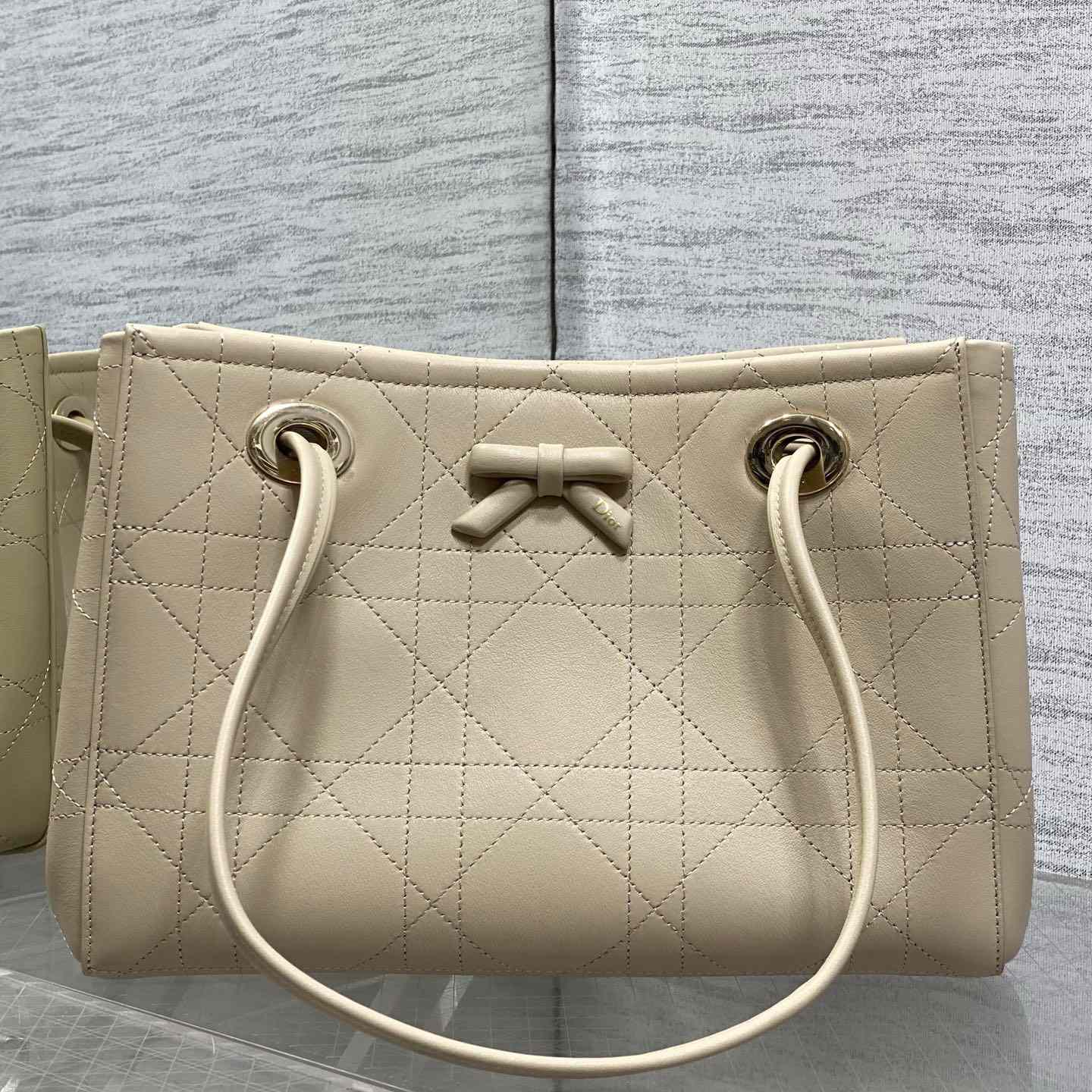 Dior Small Dior Promenade Shopping Bag - DesignerGu