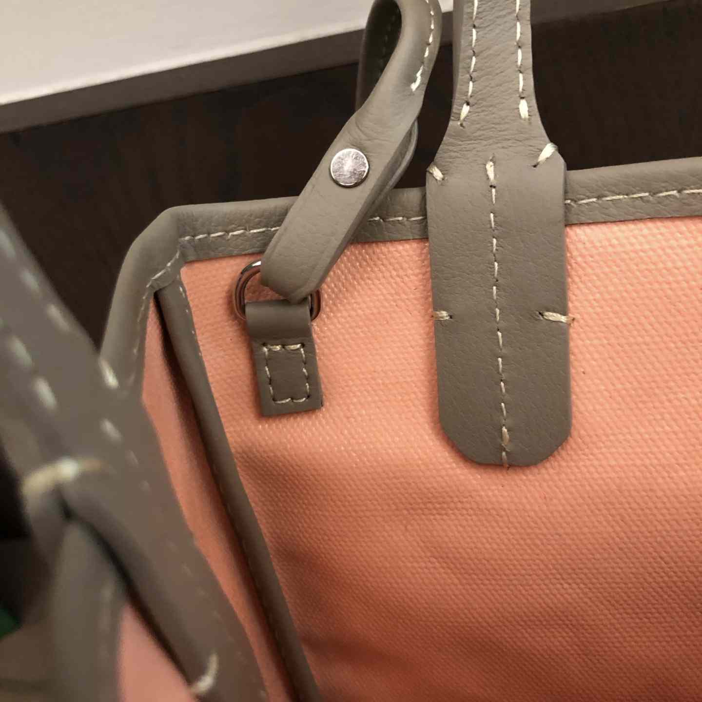 Goyard Poitiers Claire Voie Bag（Without a box） - DesignerGu