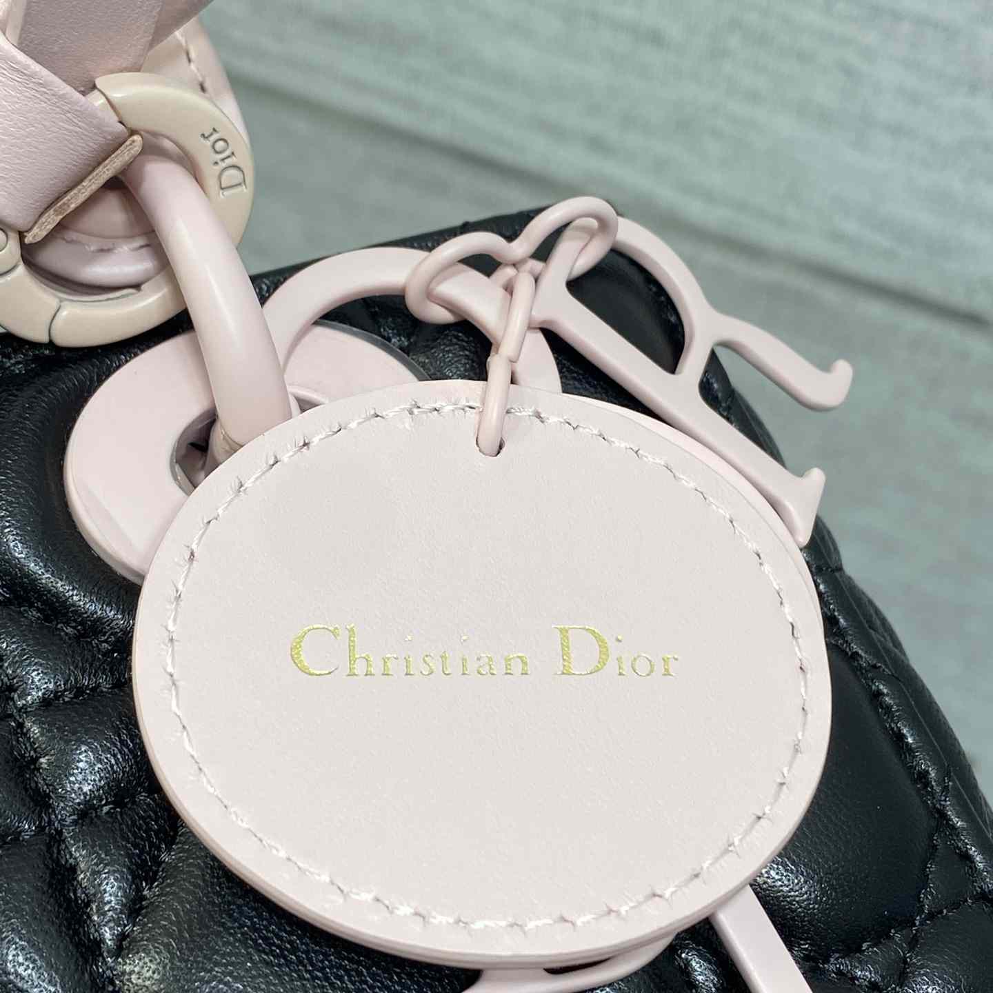 Dior Small Lady Dior Bag With Strap - DesignerGu