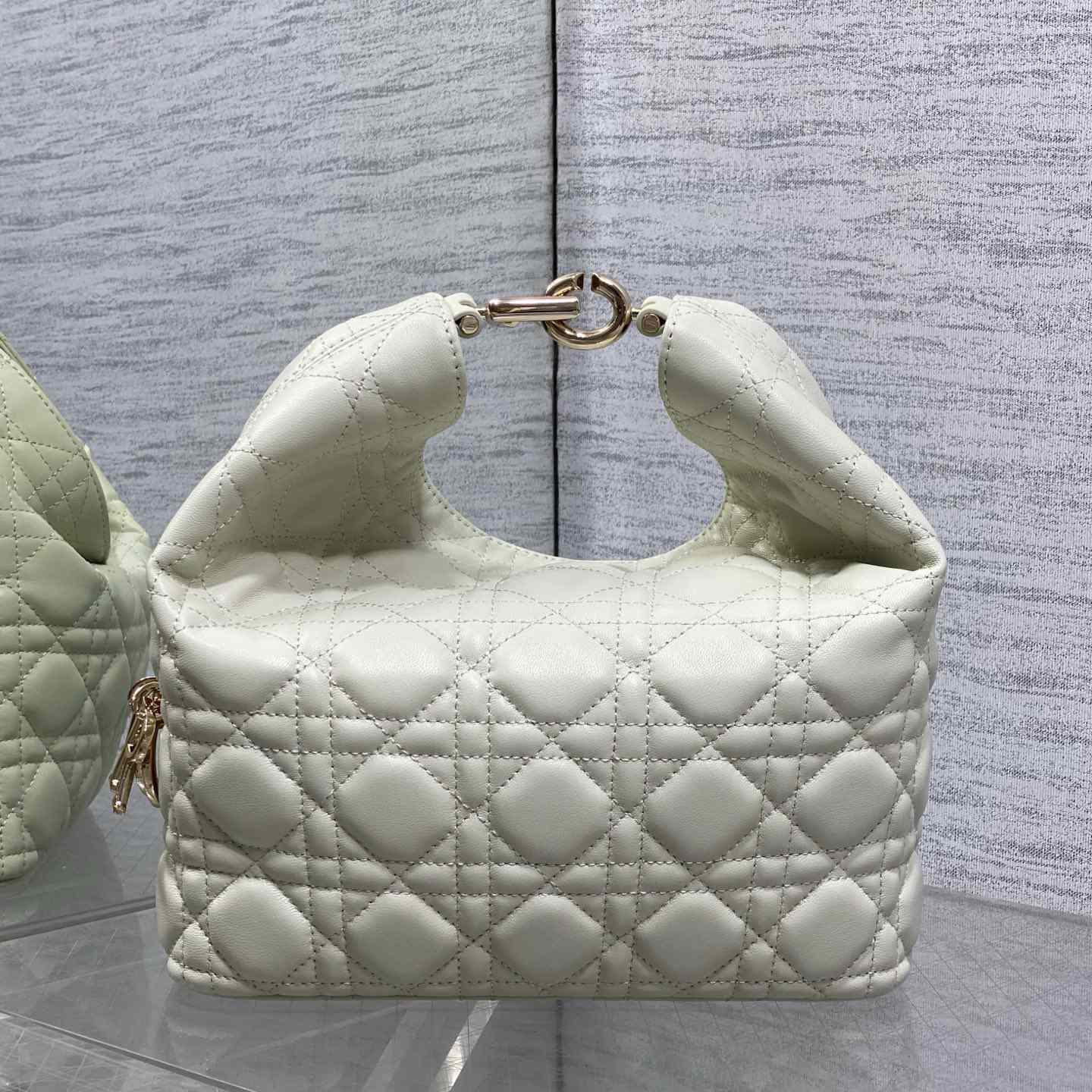 Dior Small Dior Toujours Hobo Bag - DesignerGu