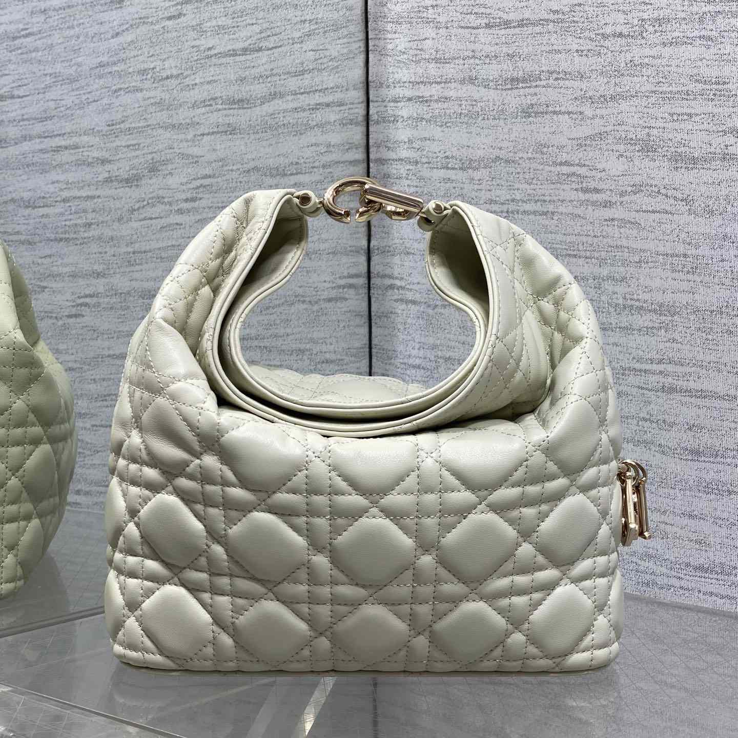 Dior Small Dior Toujours Hobo Bag - DesignerGu