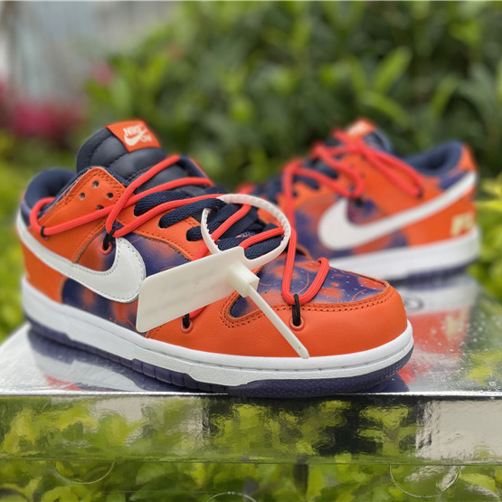 Nike SB Dunk Low Sneakers - 