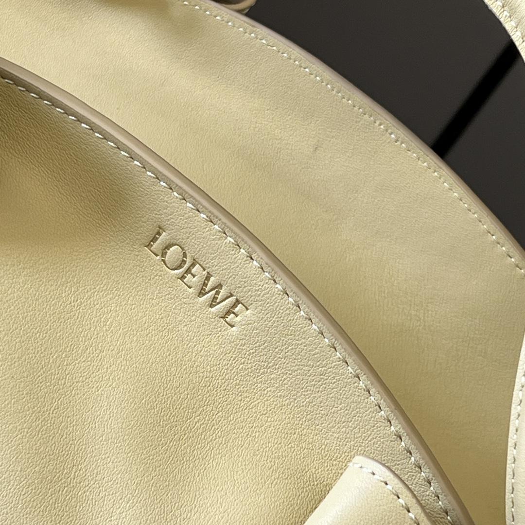 Loewe Paseo Bag In Shiny Nappa Calfskin - 