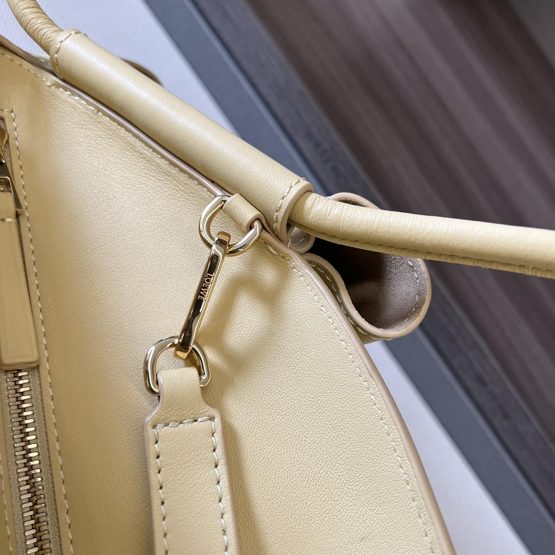 Loewe Paseo Bag In Shiny Nappa Calfskin - 