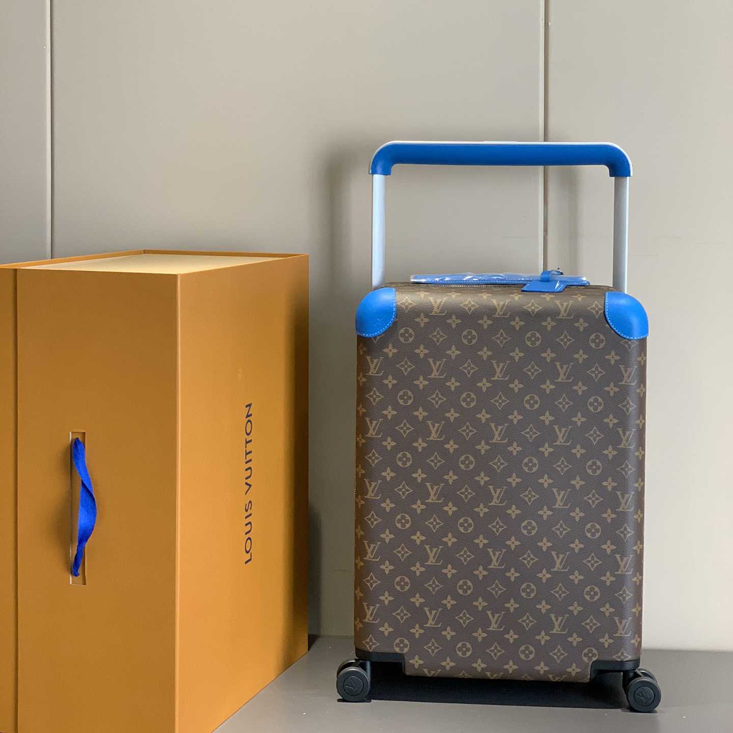 Louis Vuitton Luggage 20inch - 