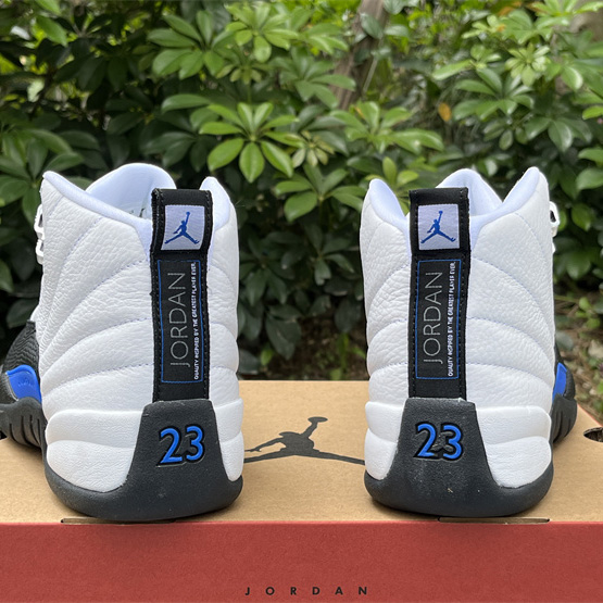 Air Jordan 12 Sneaker      CT8013-140 - 